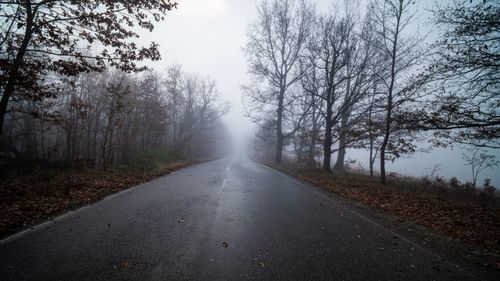 Free A misty road through a foggy forest in autumn, creating a serene and mysterious atmosphere. Stock Photo