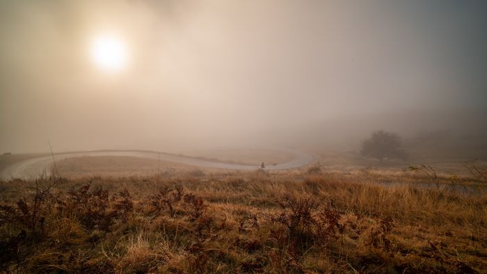 A mystical foggy morning landscape with a curved road and sunrise illuminating the misty c, by Septimiu Lupea on Pexels