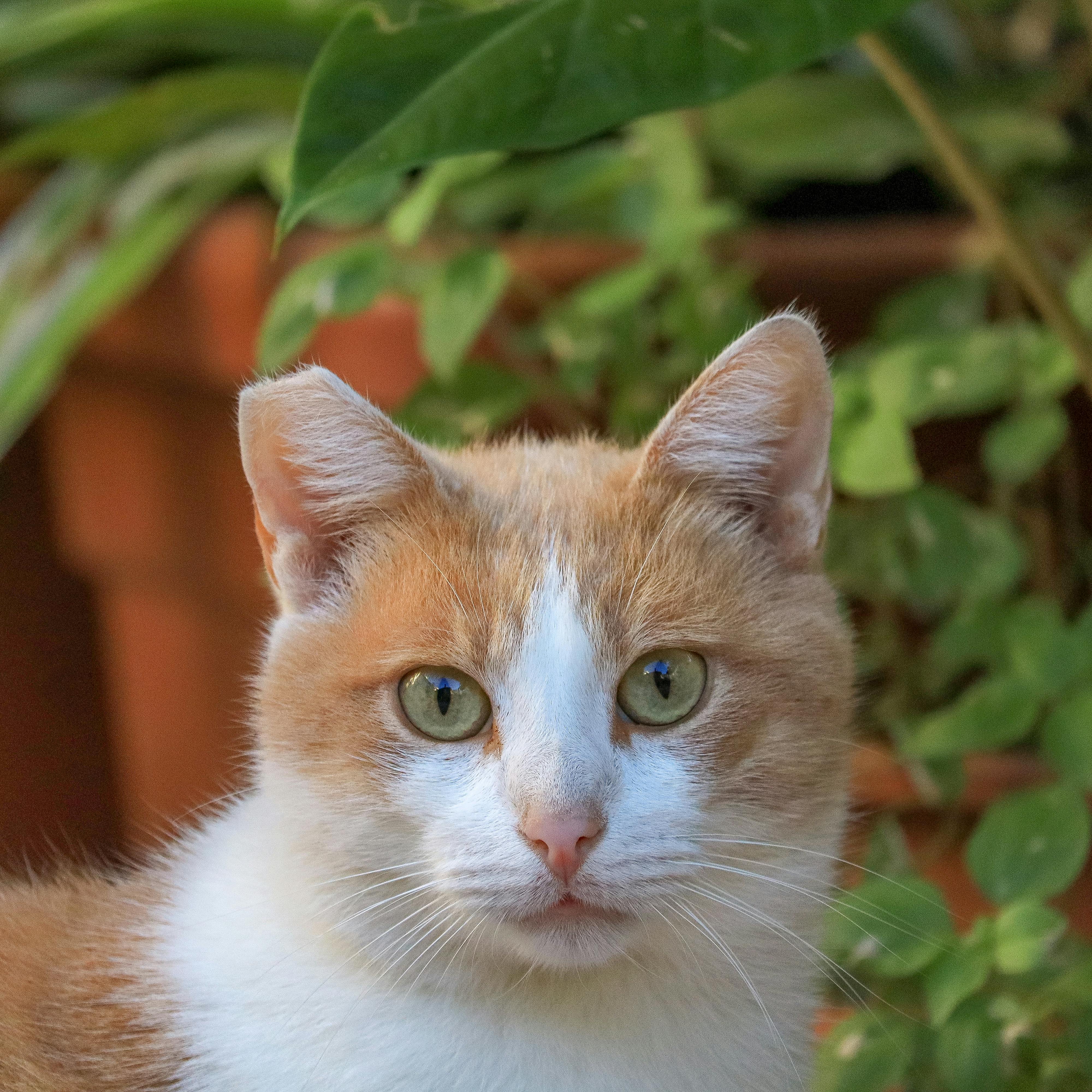 Outreach Ohne Spamfiltern: So Steigern Sie Ihre Erfolgsquote 10 So nutzen Sie soziale Medien für effektives Outreach ohne Spamfilter – Ein Leitfaden!