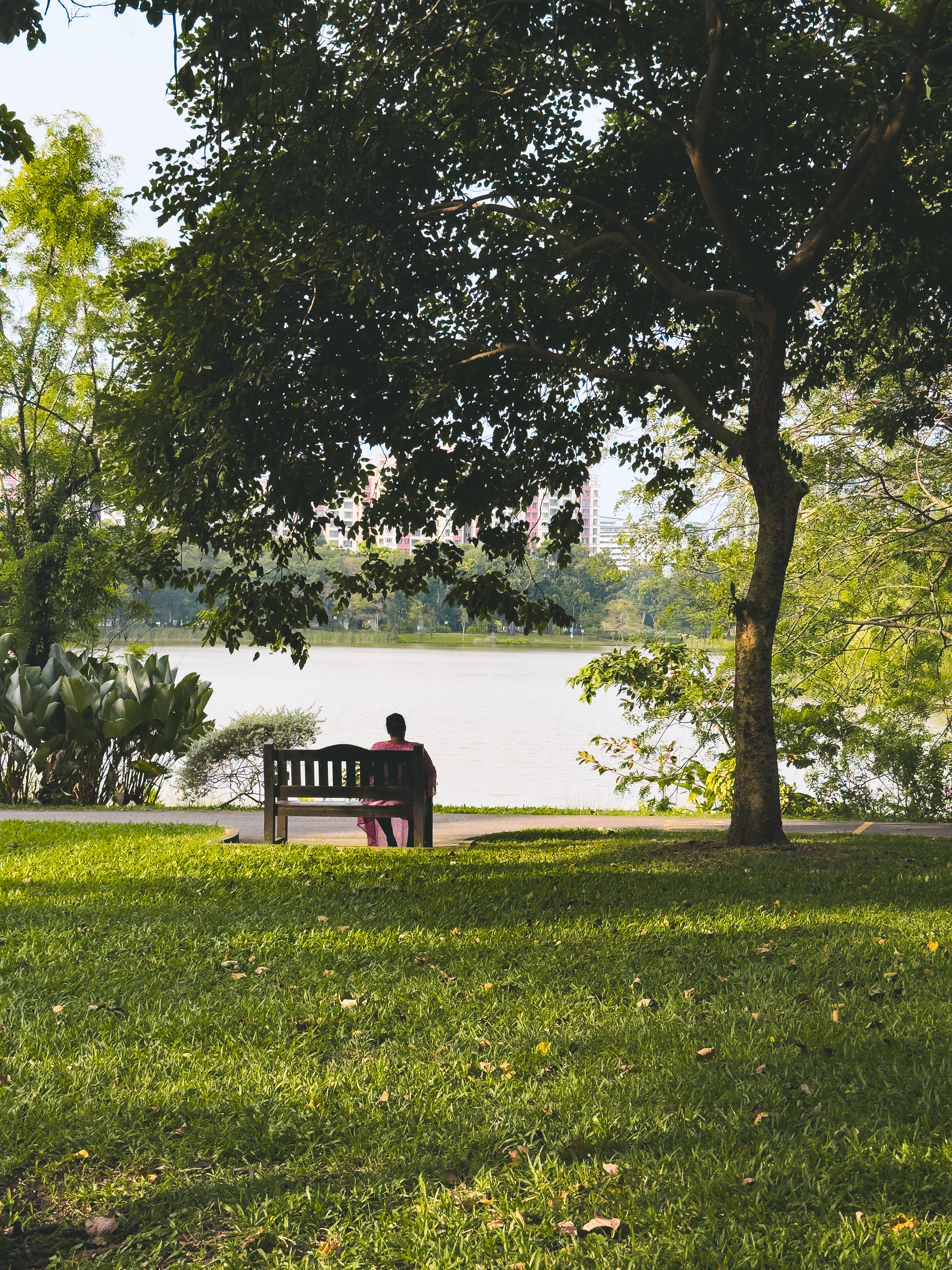 Foto de stock gratuita sobre afuera, al aire libre, ambiente ...
