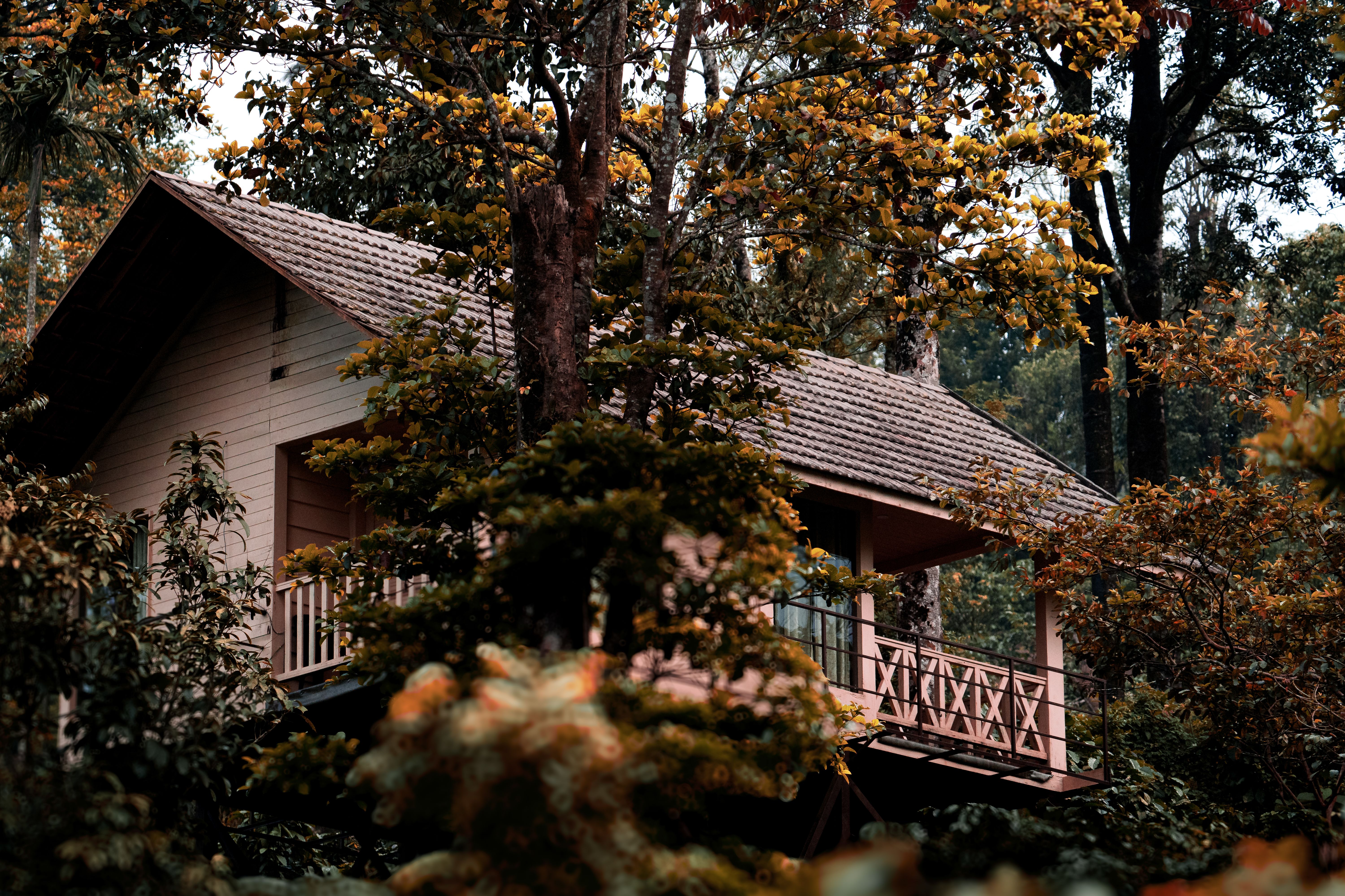 Coorg Resorts: Where to Stay in Karnataka's Coffee Country