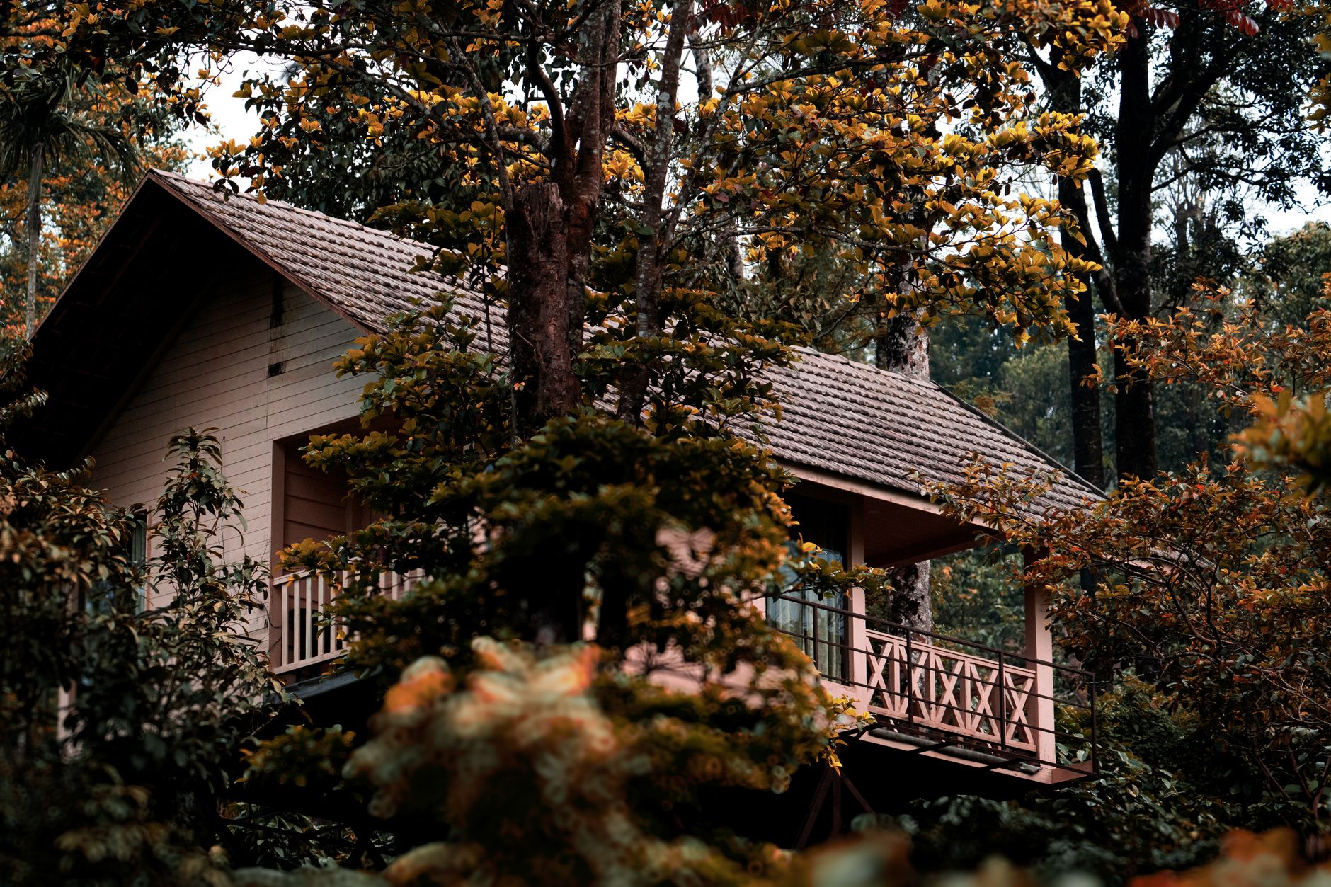 Coorg Resorts: Where to Stay in Karnataka's Coffee Country