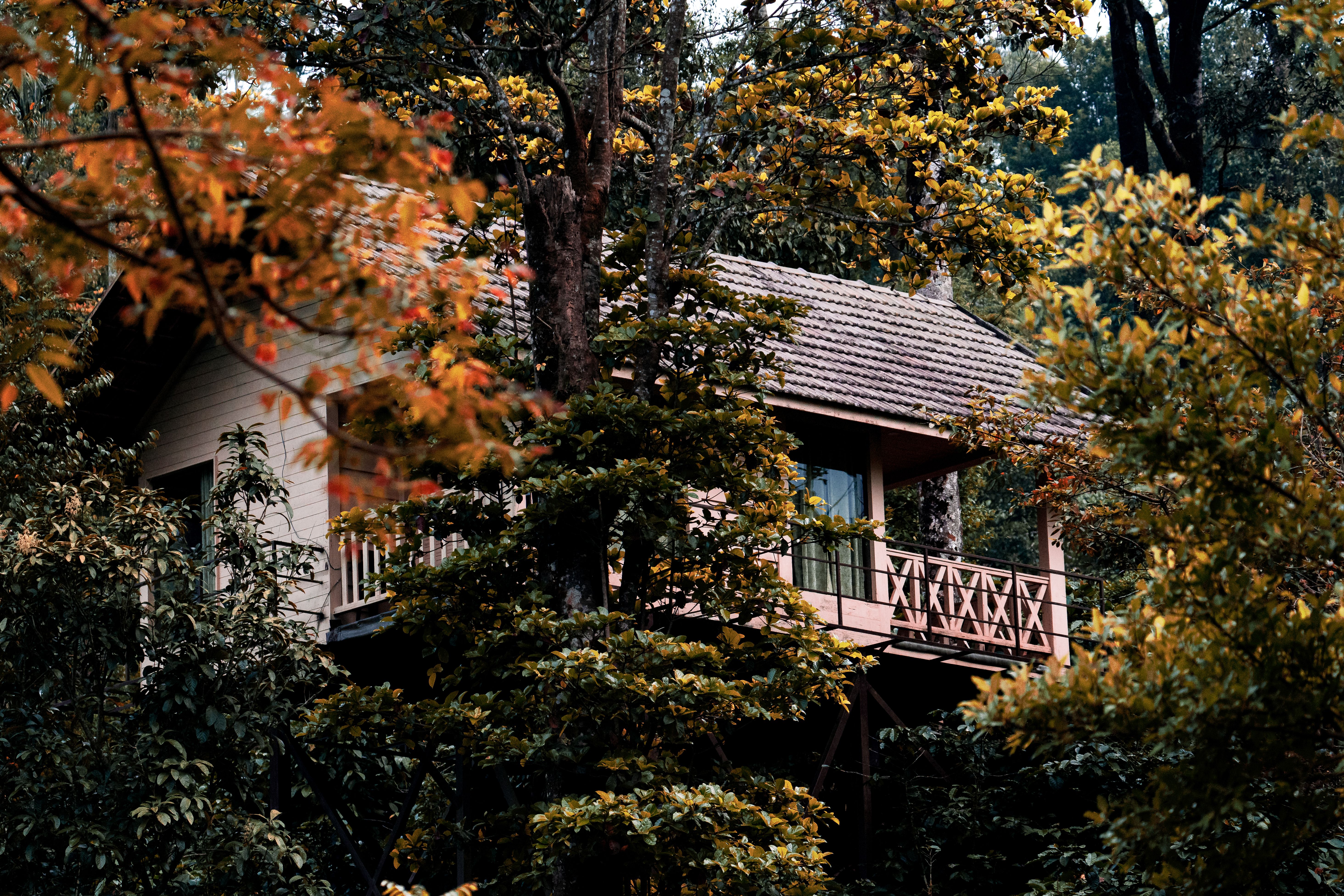 Best Cottage Stay in Coorg: Choosing Your Ideal Retreat
