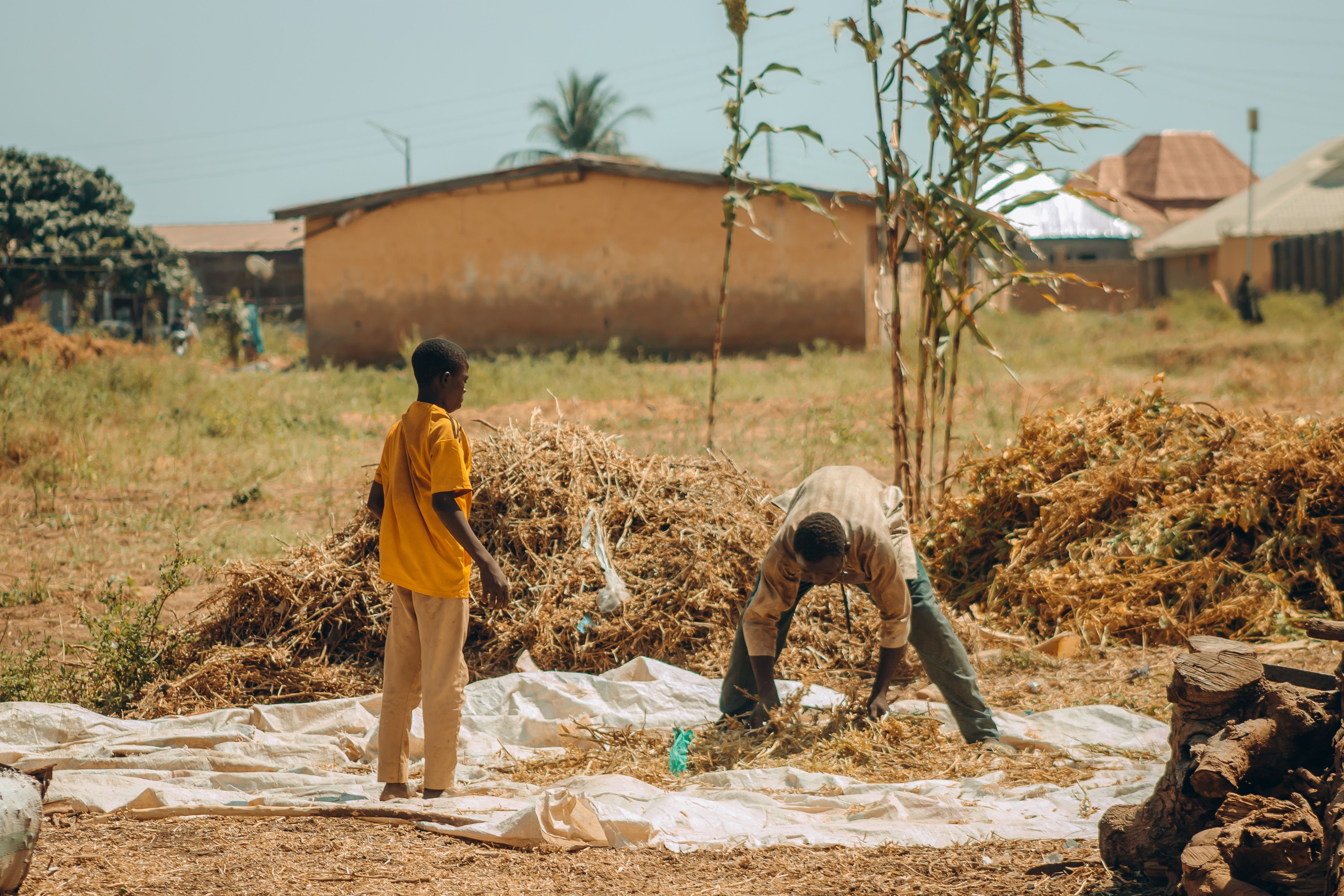 Rural Farming Scene with Two People Working · Free Stock Photo
