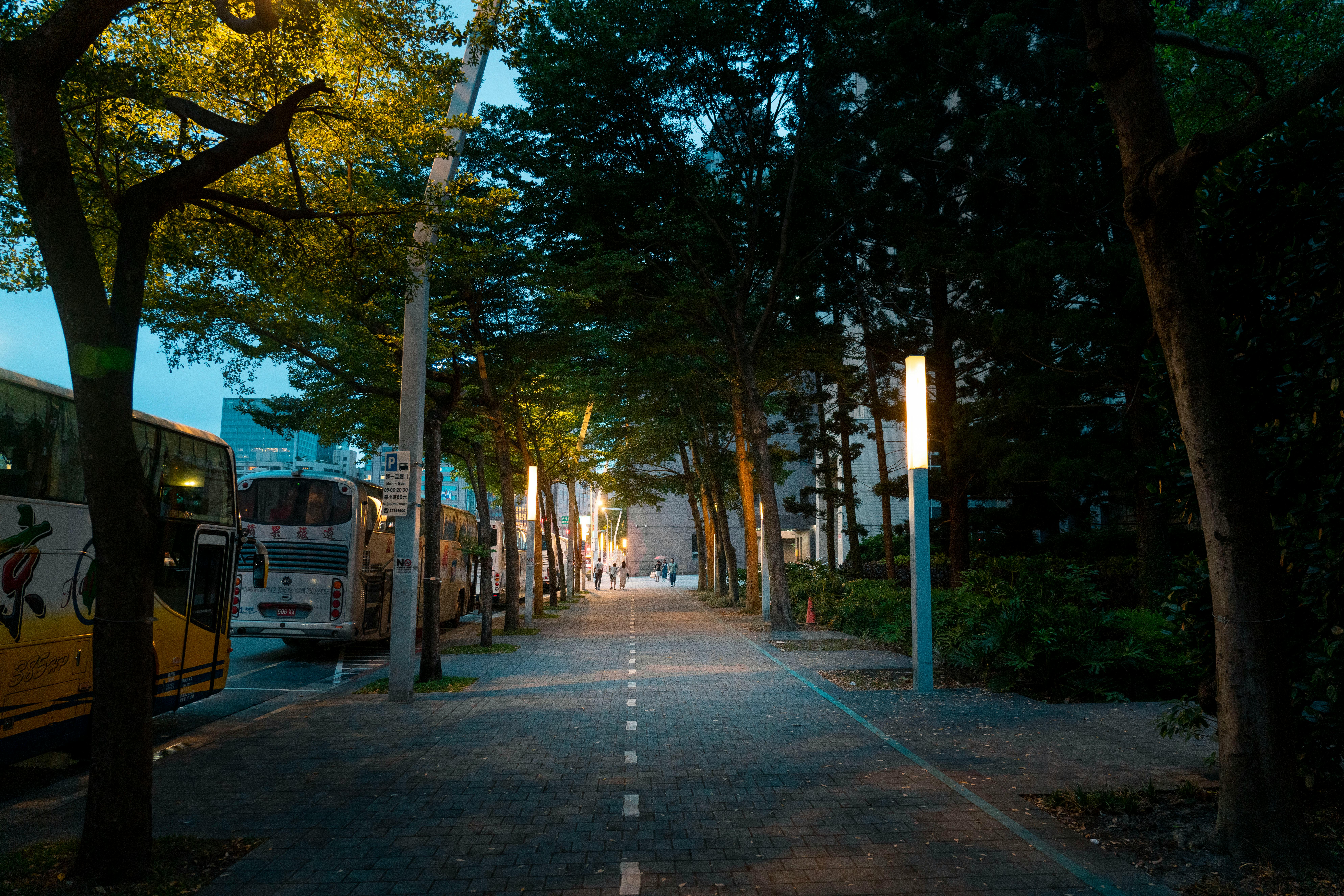 Serene evening view of a tree-lined street in Taipei, Taiwan with buses parked
