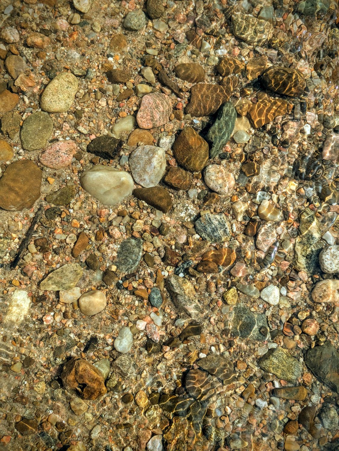 Stream Pebbles Texture Clear Stream Pebbles Under Sunlight · Free Stock Photo