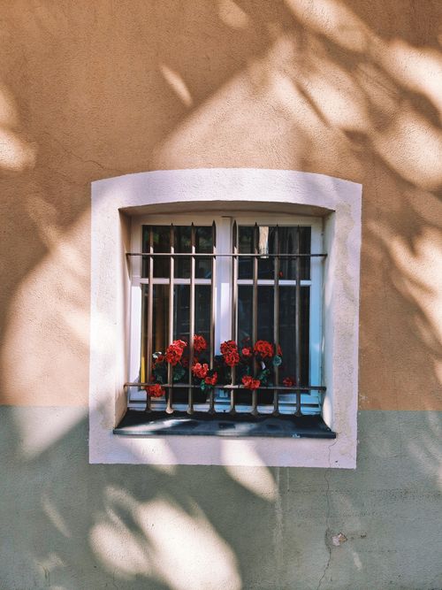 Free Sunlit window with red flowers in Valbonne, Provence-Alpes-Côte d'Azur. Stock Photo