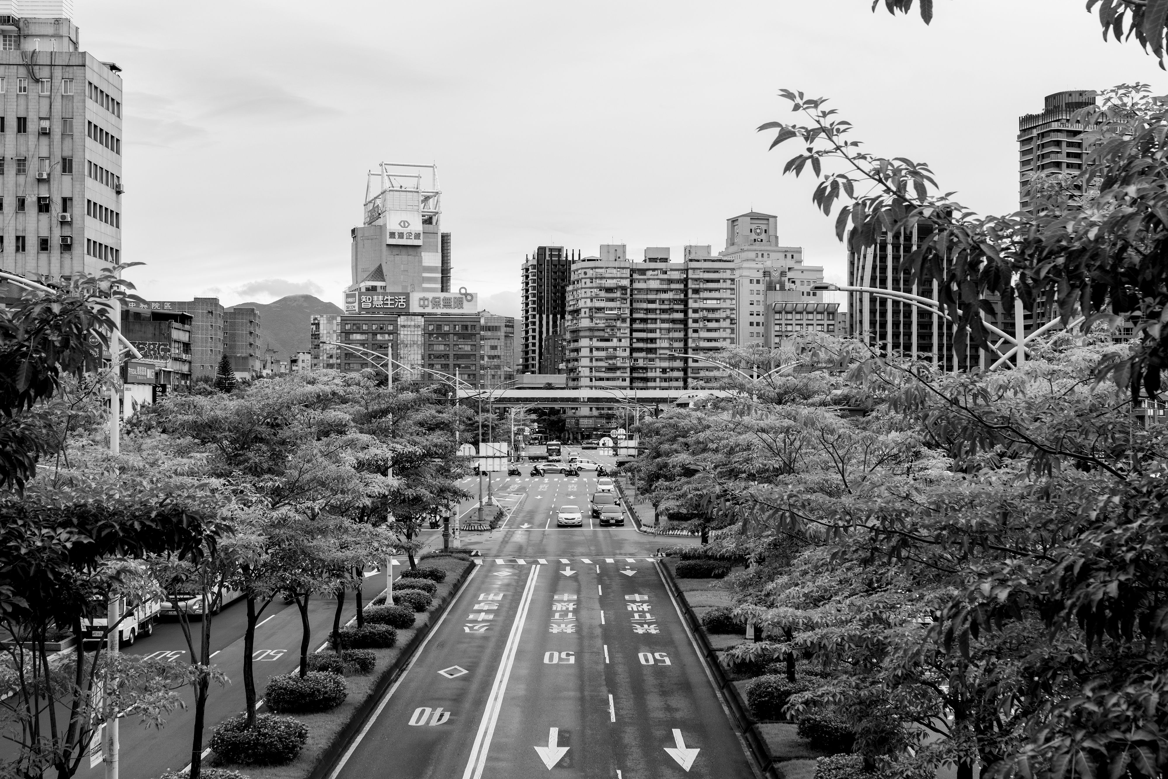 Black and White Urban Cityscape with Traffic · Free Stock Photo