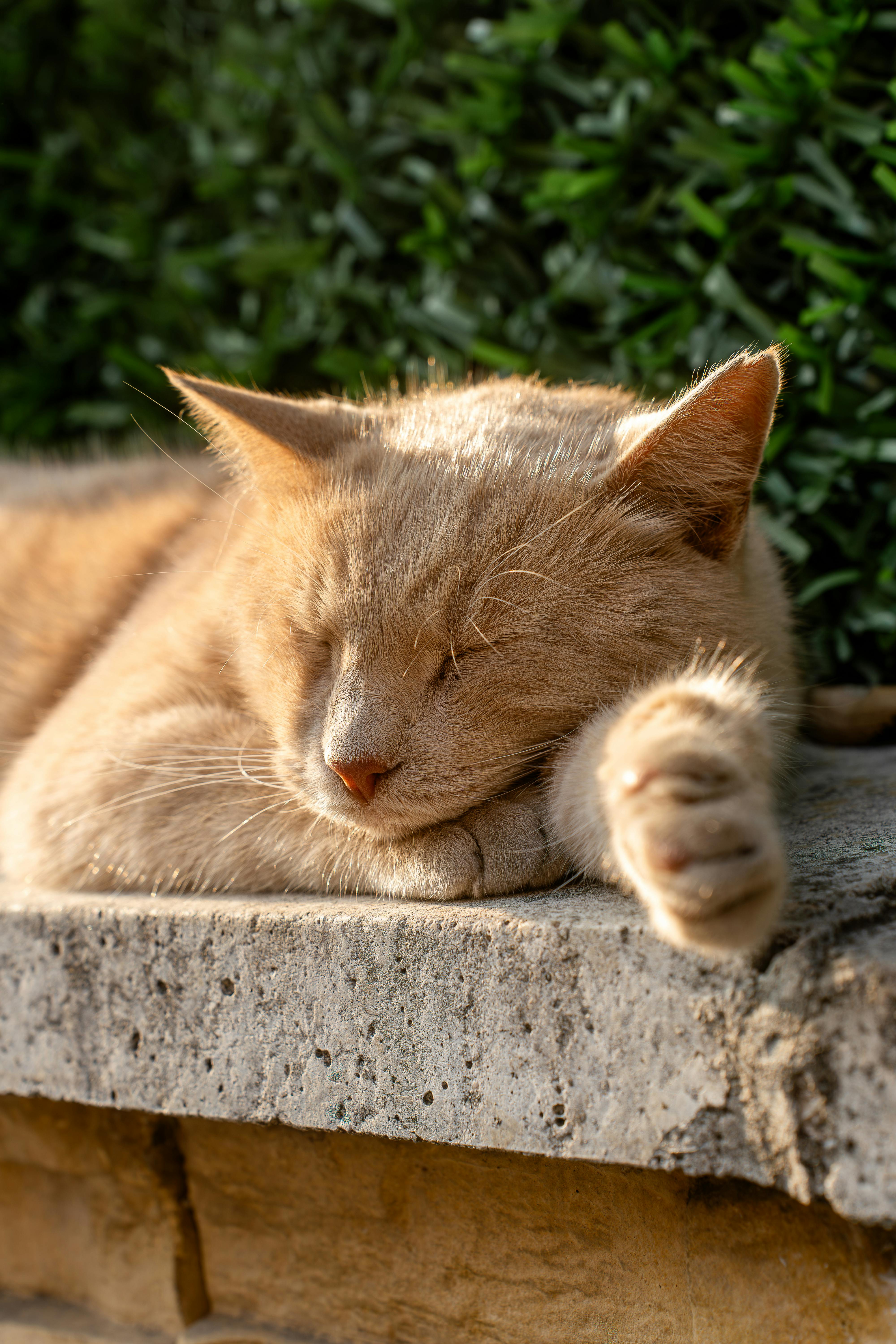 So Nutz Du LinkedIn Für Outreach: Tipps Für Effektives Networking 4 LinkedIn Outreach Für Einsteiger: Dein Ultimativer Schritt-für-Schritt-Guide