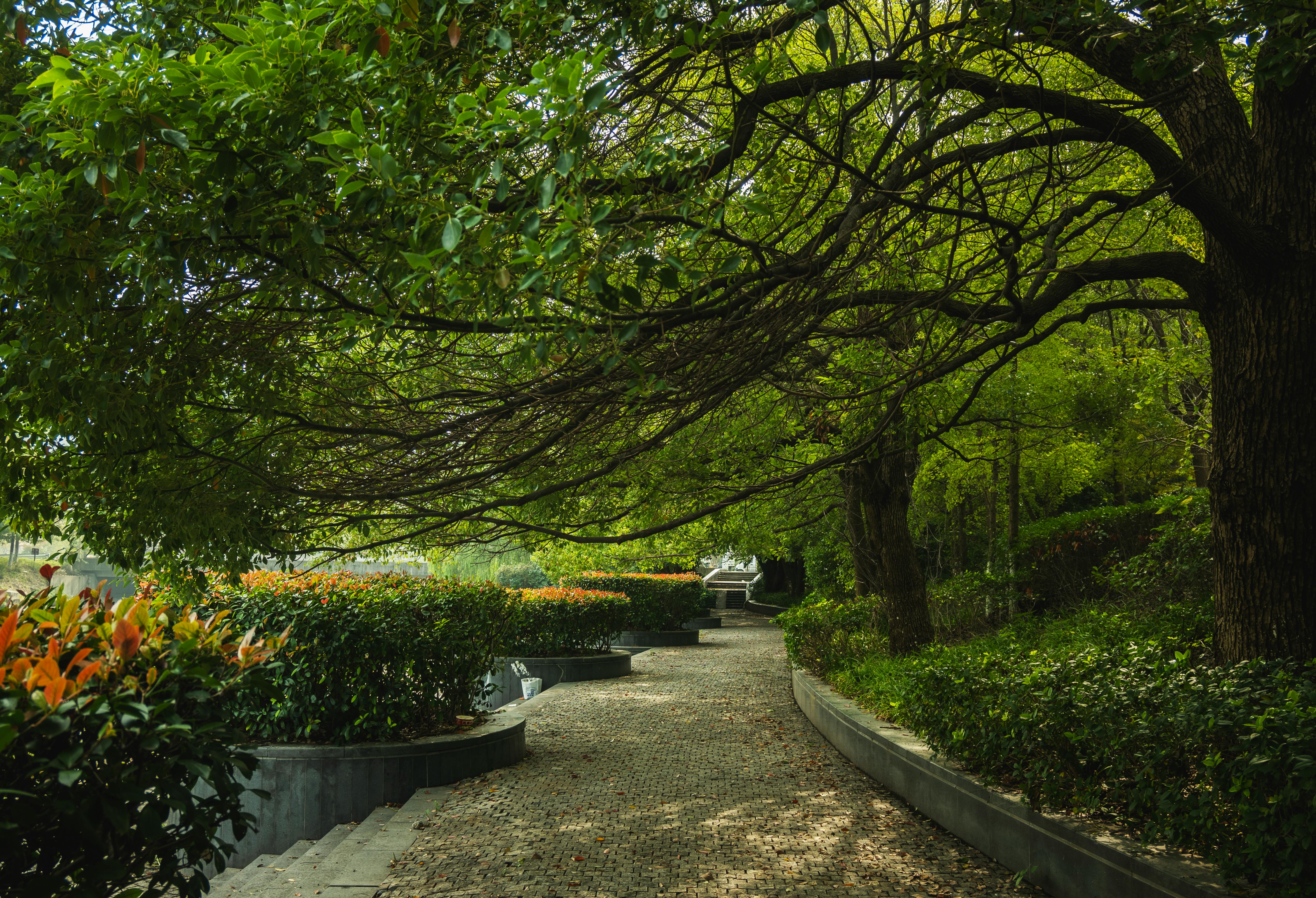 2025淨零綠生活派對引領創新轉型，共創永續未來