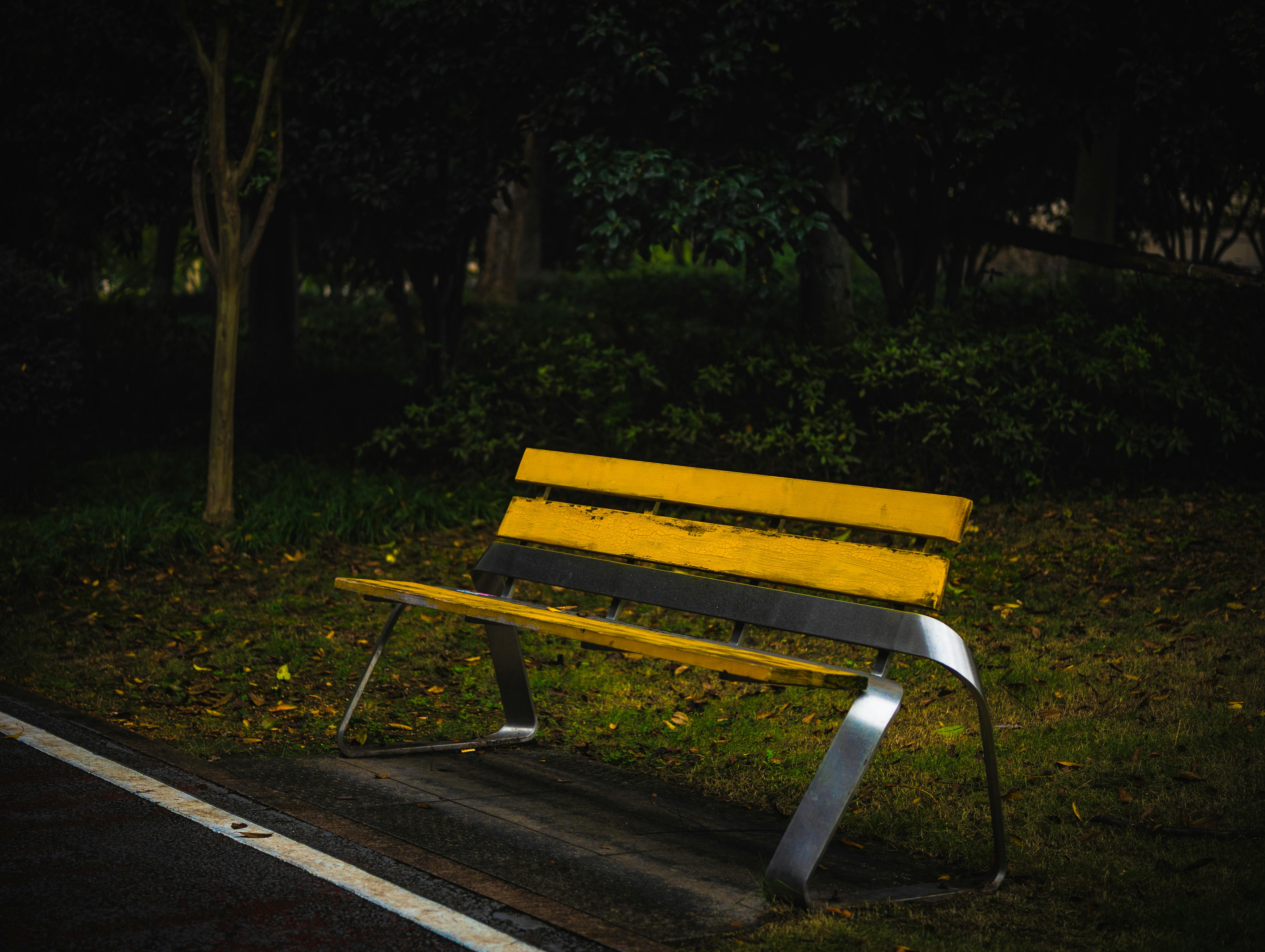 The ultimate outdoor workout: all you need is a park bench — Photo by 木 灬 on Pexels