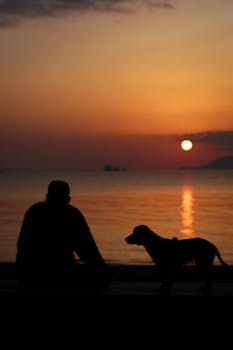 Stunning silhouette of a man and dog at sunset in Çanakkale, Türkiye.