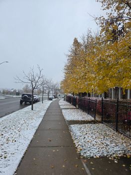 A serene urban street view with snow-dusted autumn trees, creating a picturesque seasonal contrast.