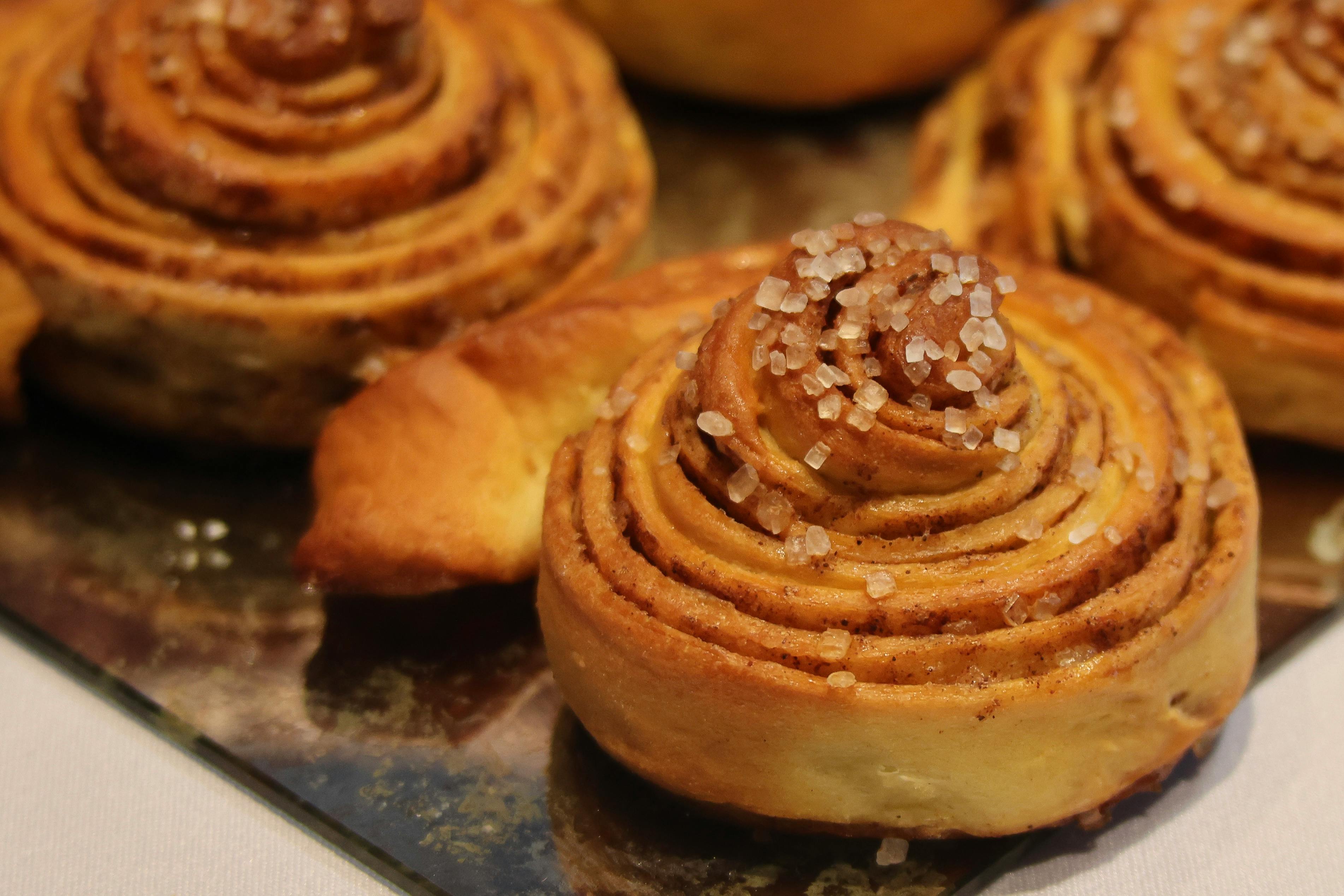 50 Easy To Make Bird Treats