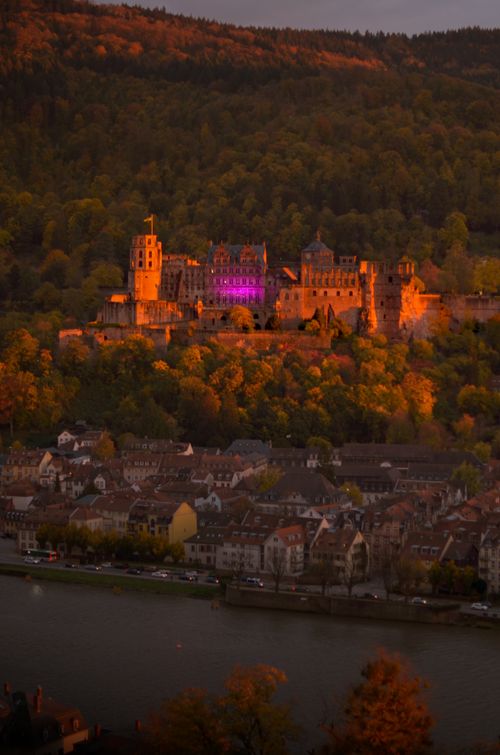 Free Heidelberg Castle illuminated at dusk with a historic town view, perfect for travel inspiration. Stock Photo