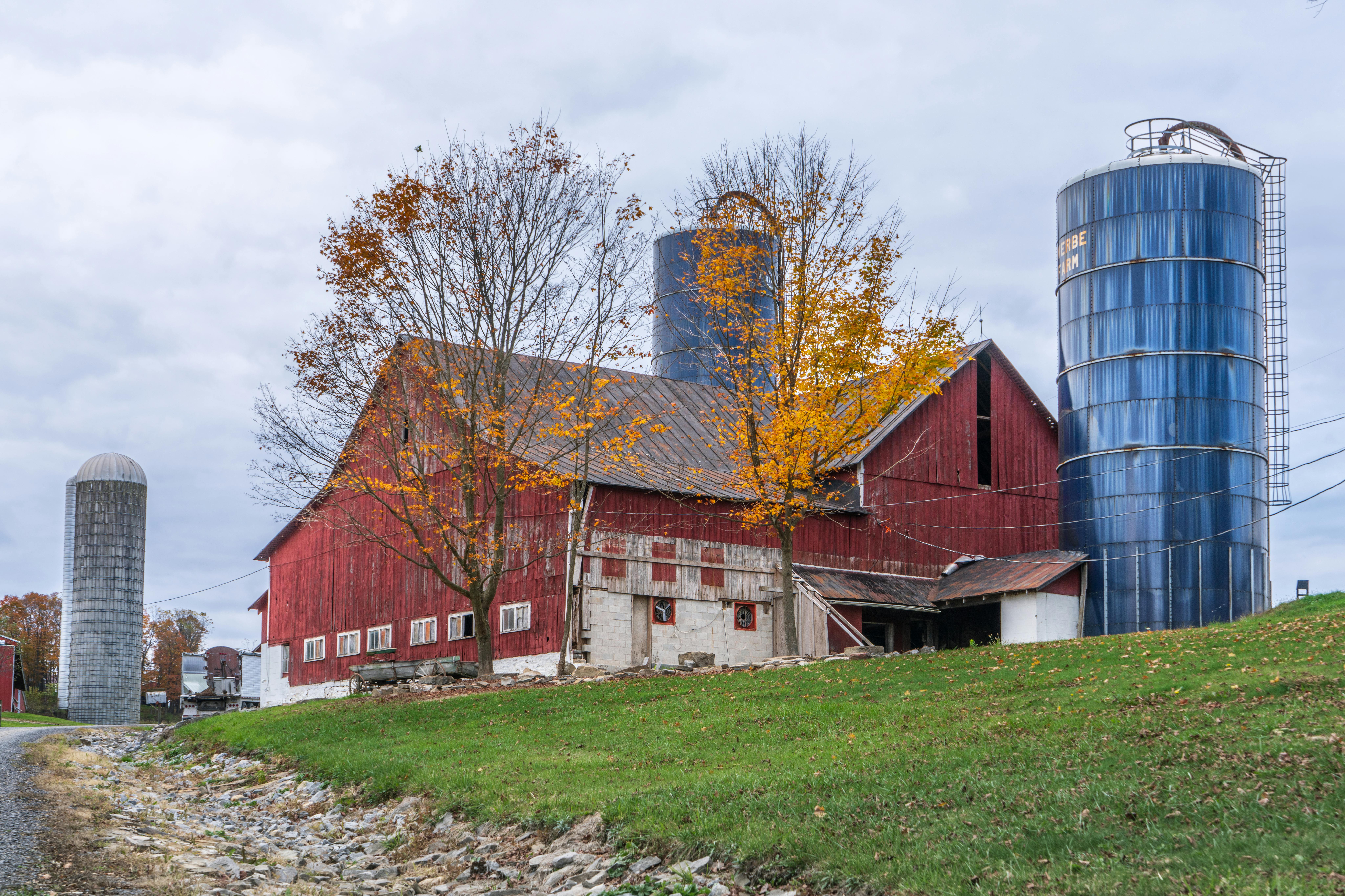 Dodatkowe wsparcie finansowe dla hodowców bydła do 15 maja