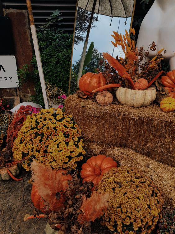 Autumn Harvest Display with Pumpkins and Hay Bales · Free Stock Photo