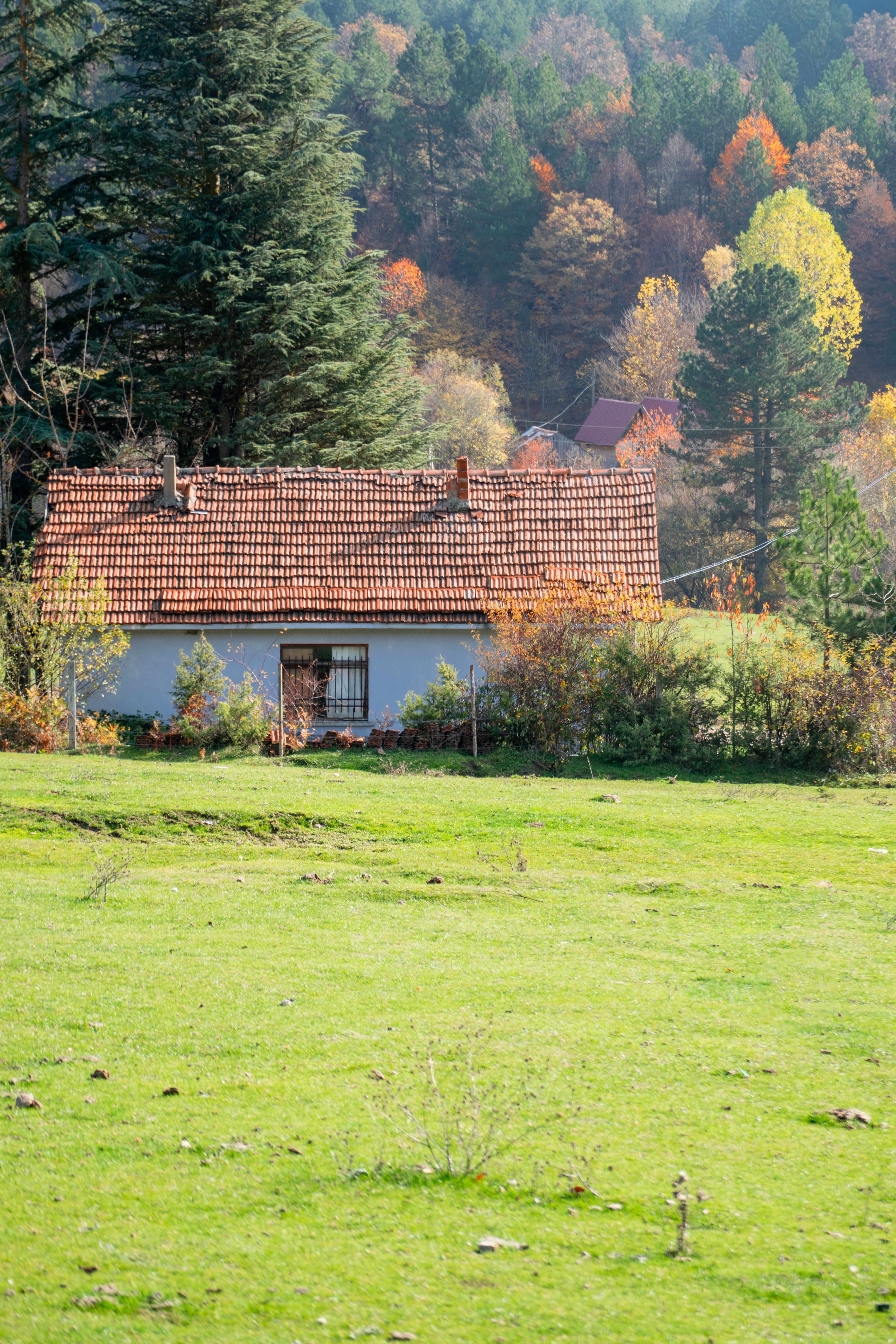 Cottage en saison automnale