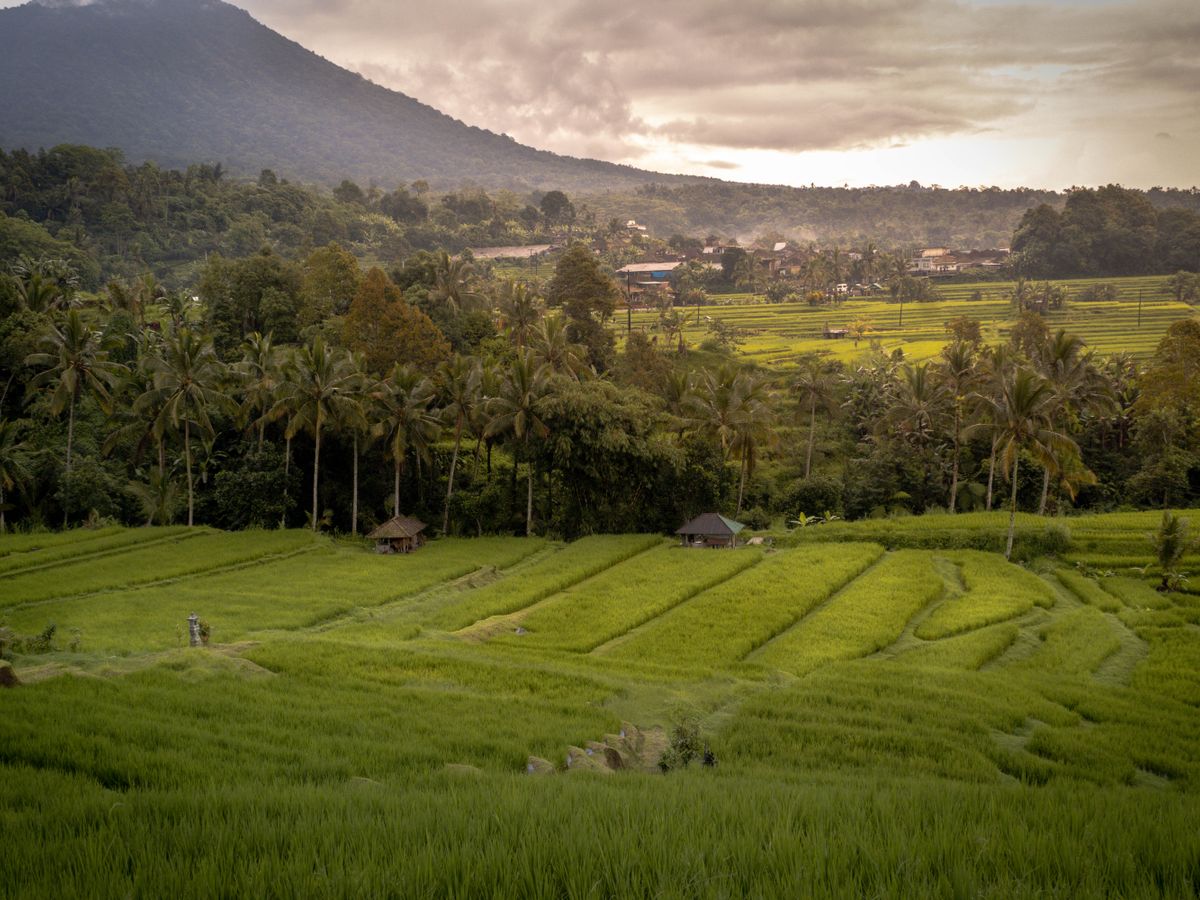 12 Day 100 Hour YTT Alignment, Sequencing & Yoga Therapy in Bali 1