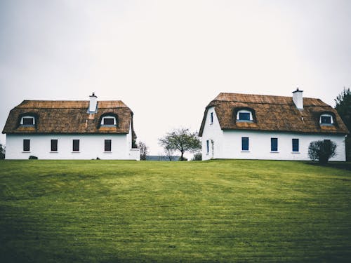 Two Houses With Green Grass