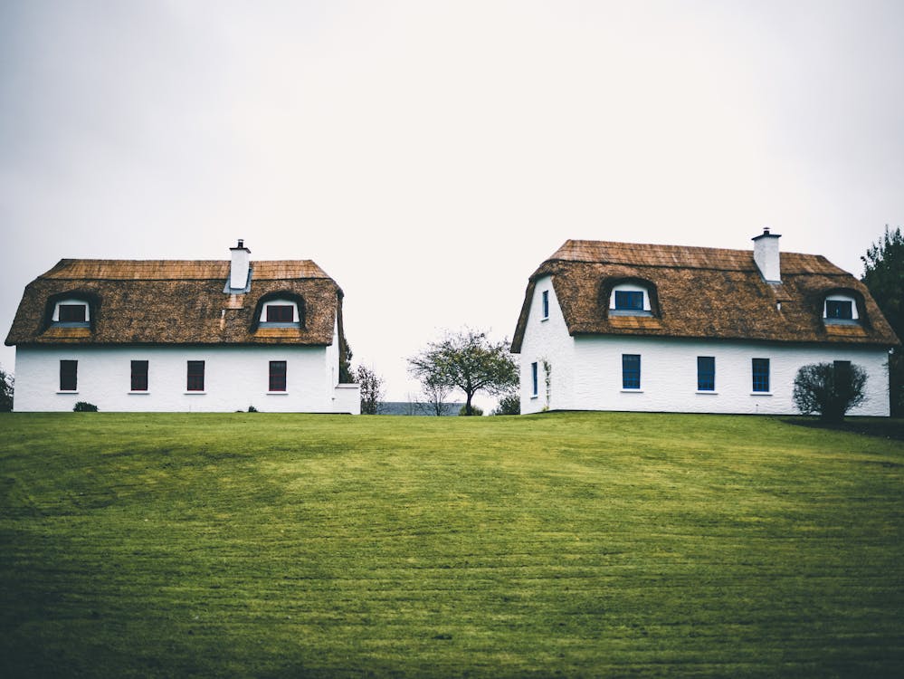 Deux Maisons Avec De L'herbe Verte
