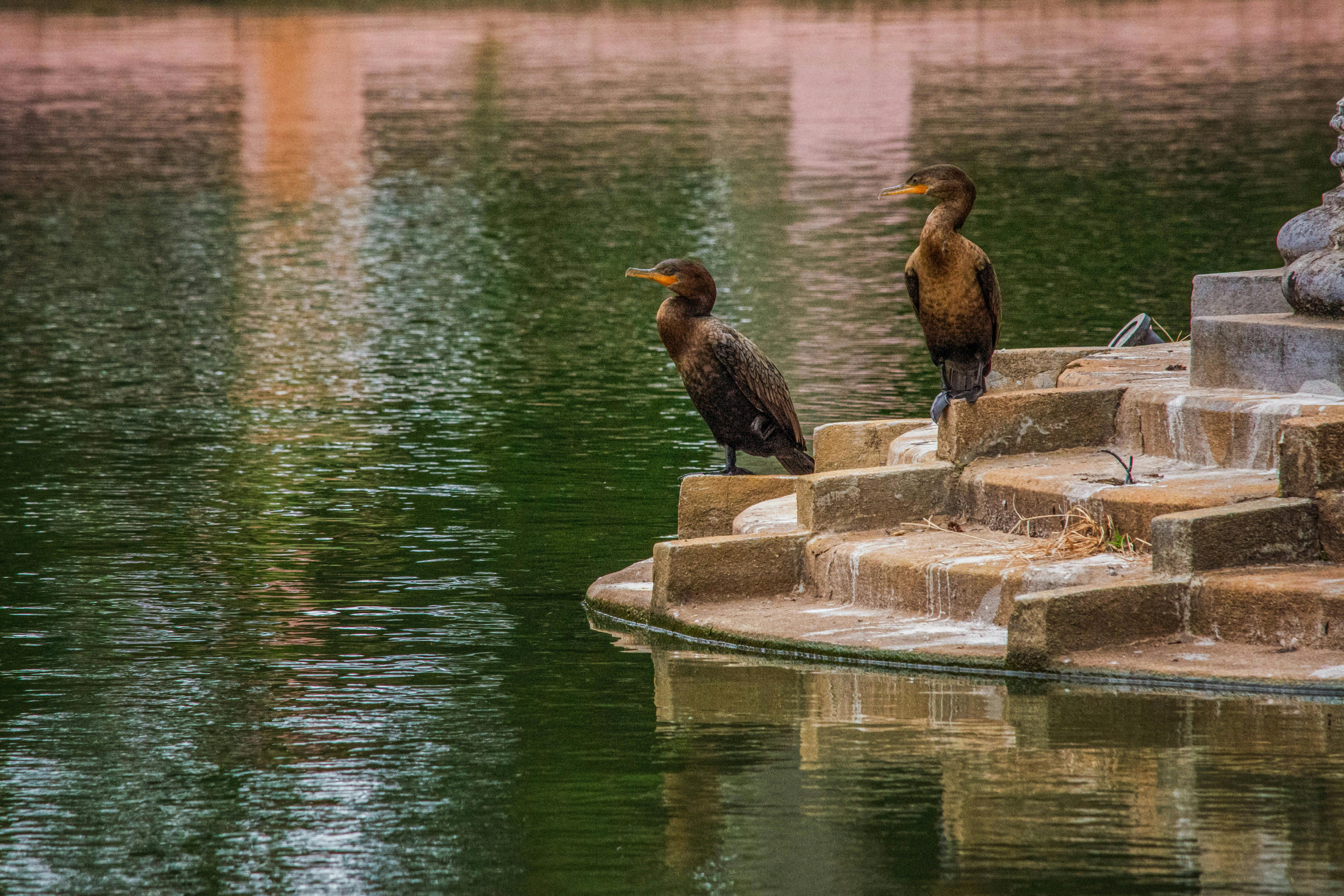 生活：BMW攜手SipaBoards 推出創新電動水上滑板體驗