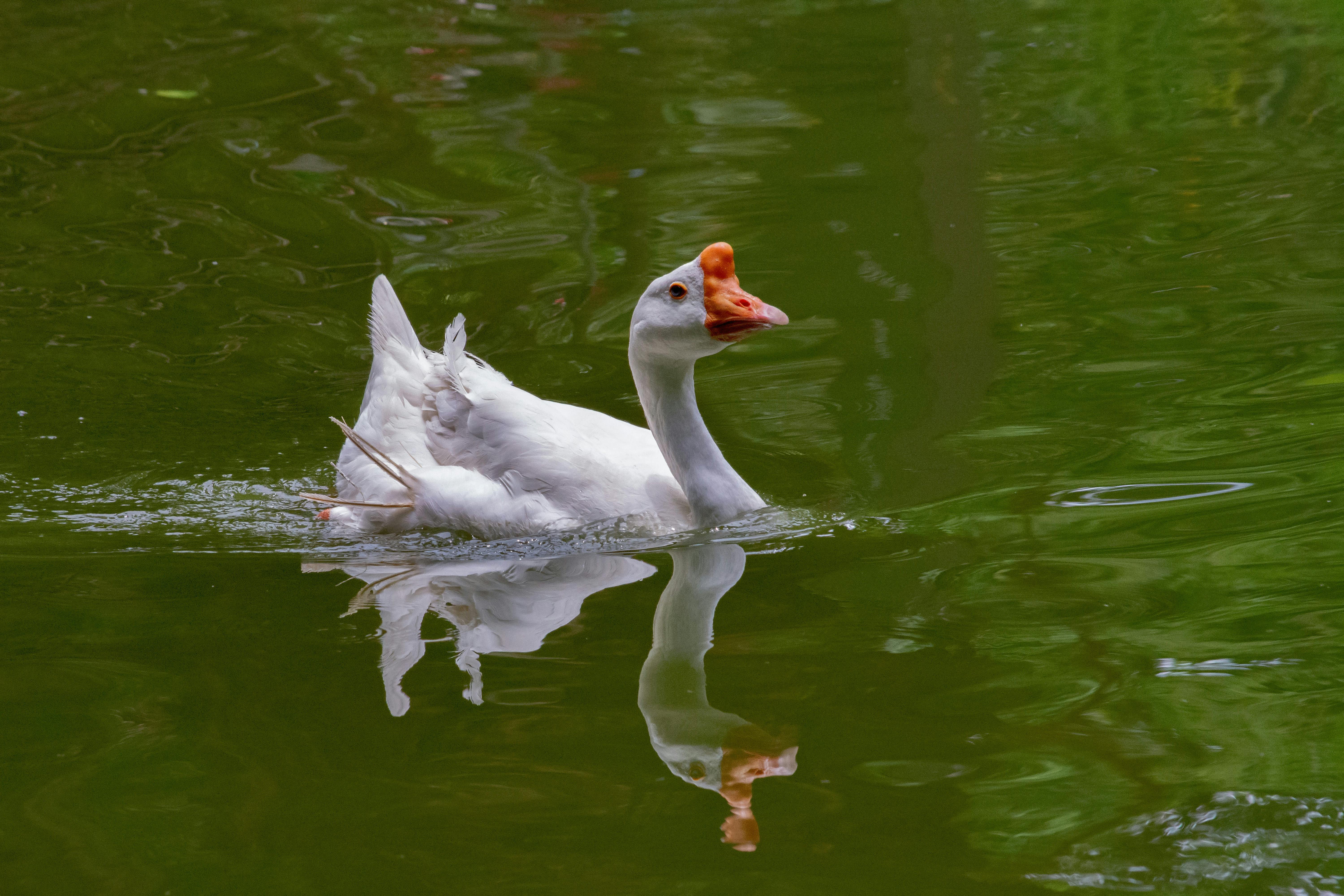 生活：BMW攜手SipaBoards 推出創新電動水上滑板體驗