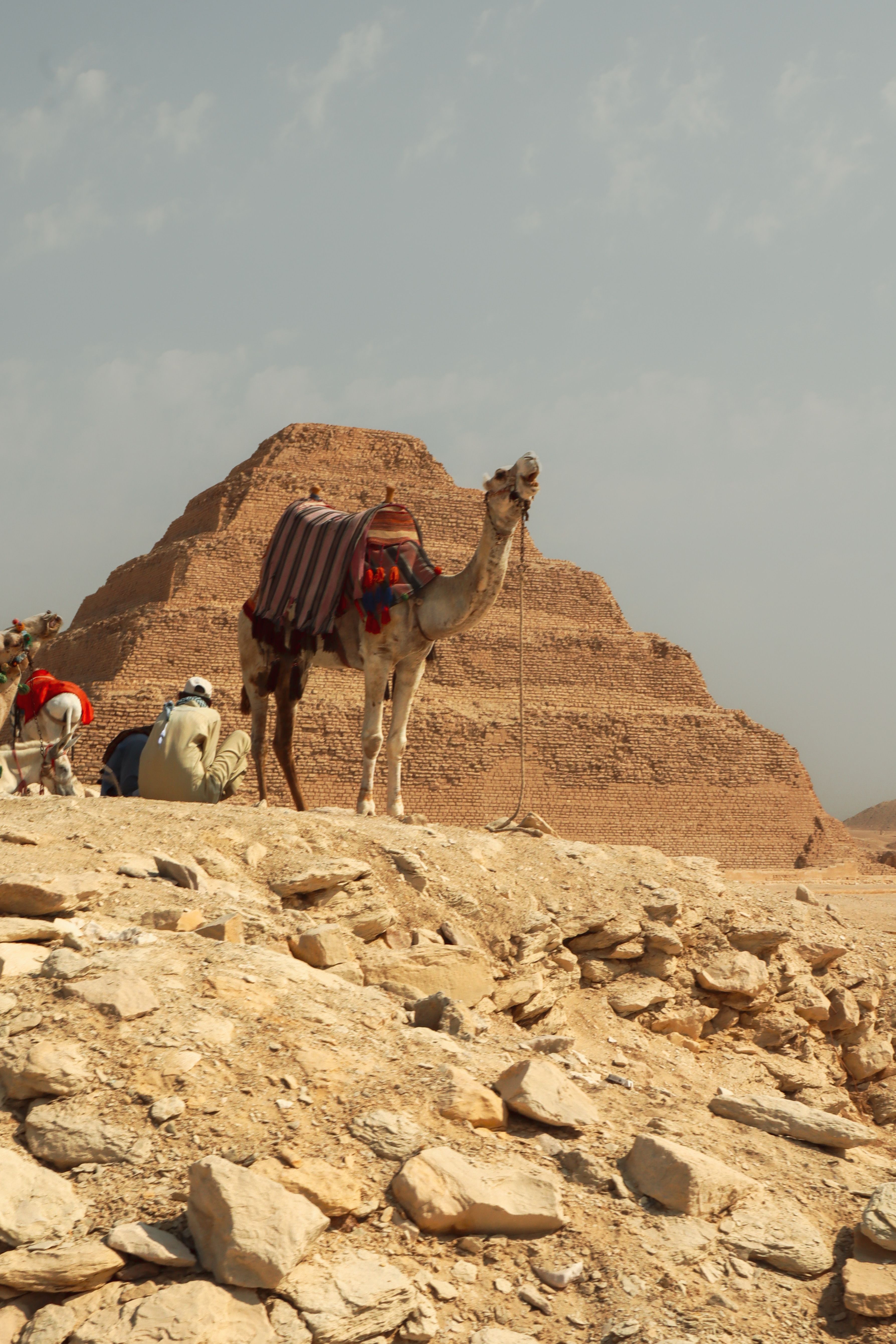 Camel and Pyramid in Egyptian Desert Landscape · Free Stock Photo