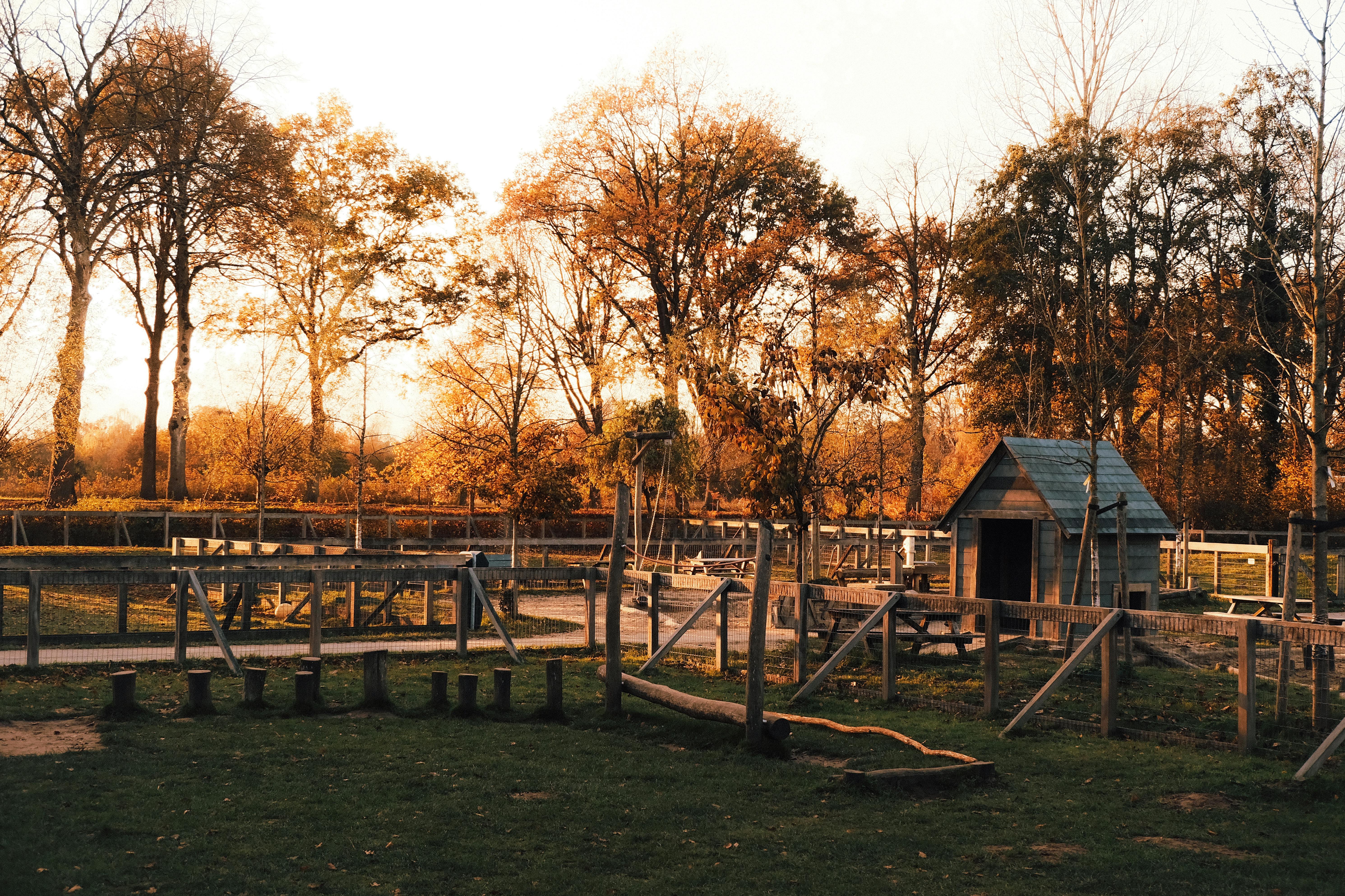 Kinderboerderij De Balijhoeve