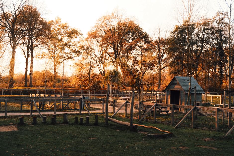 Serene autumn park playground with vibrant foliage and a cozy cabin at sunset.