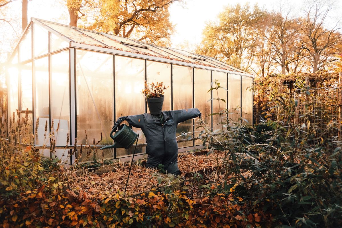 Protéger son potager du gel - Gérer l'arrosage et entretenir un sol protecteur