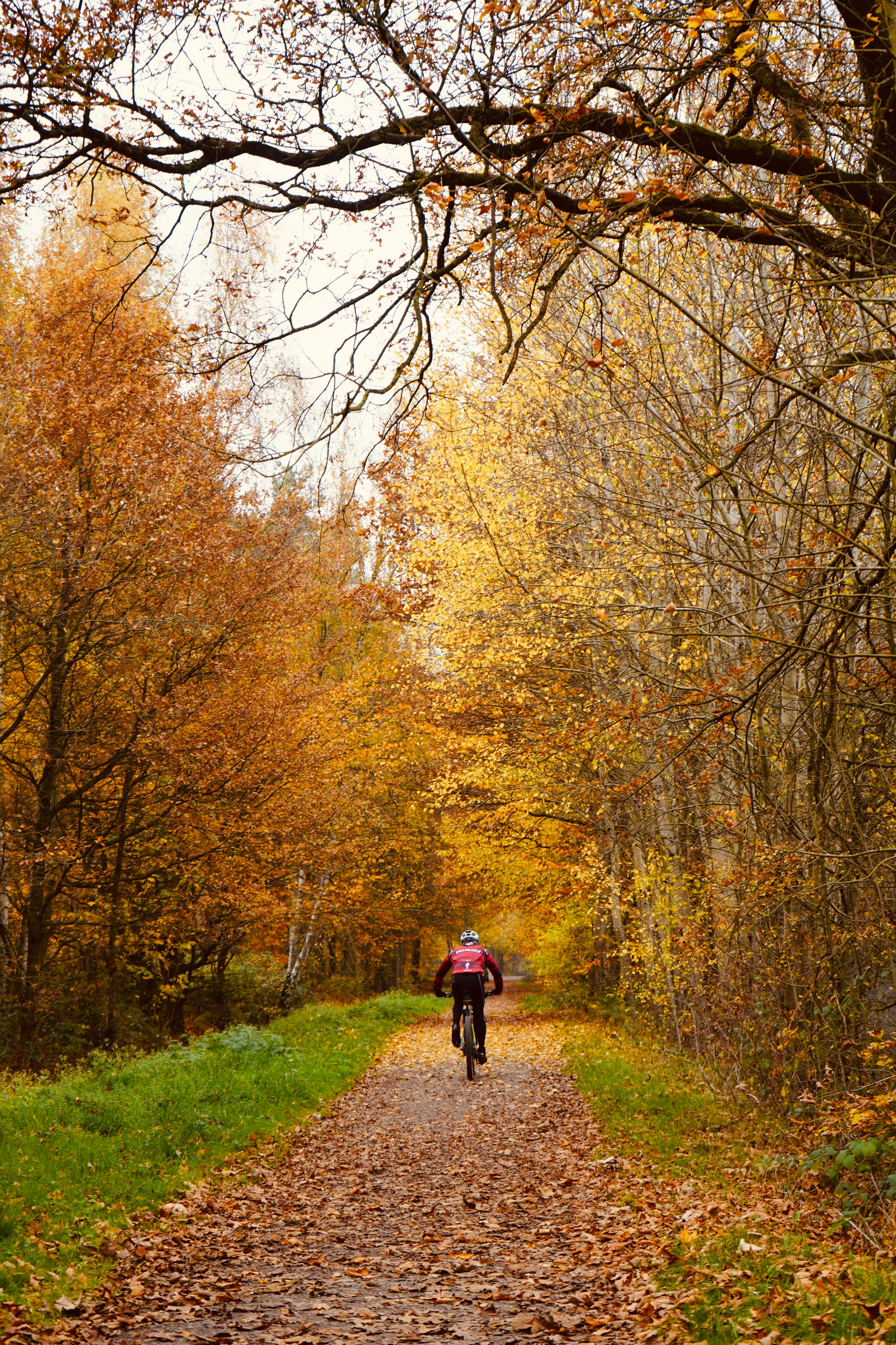 Trasee de ciclism: cele mai frumoase drumuri de bicicletă din România
