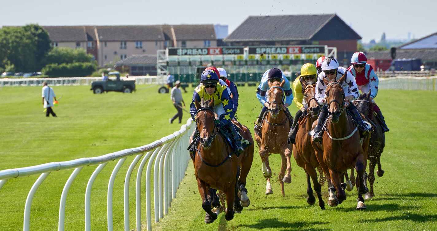 Jockeys en pleine action se disputant l'arrivée d'une course hippique, chevaux au coude à coude