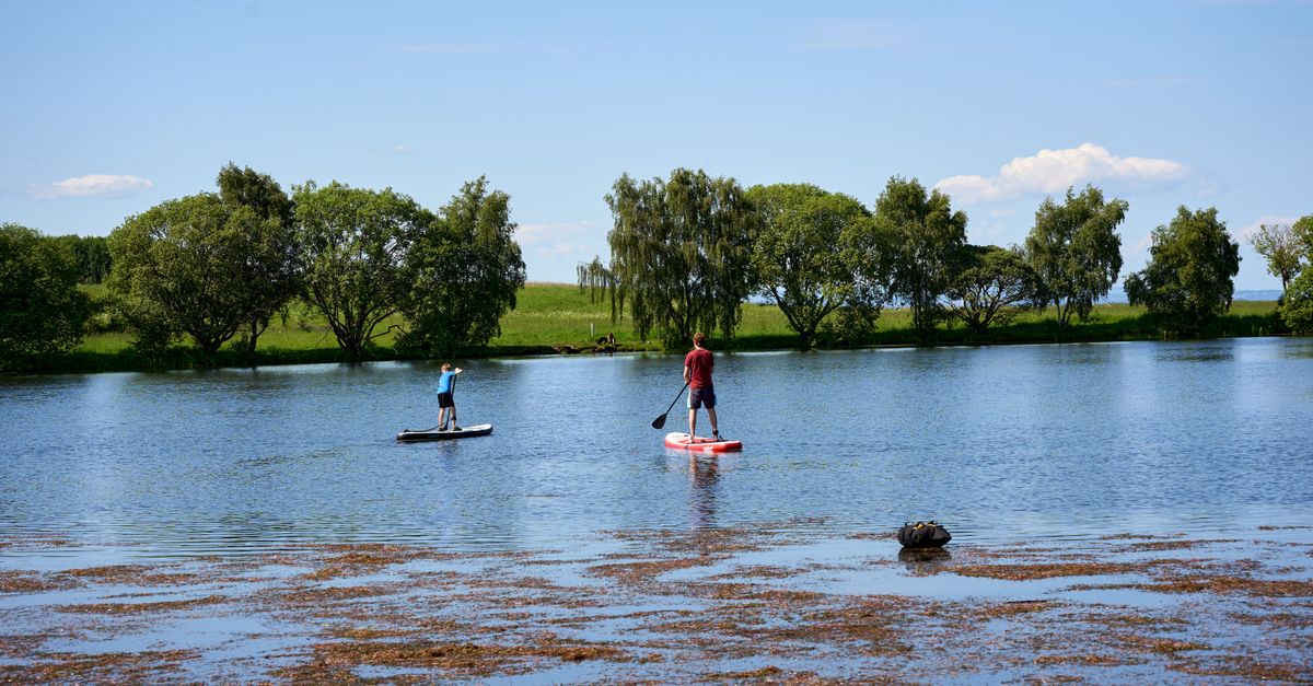 Les meilleures activités nautiques à essayer en famille