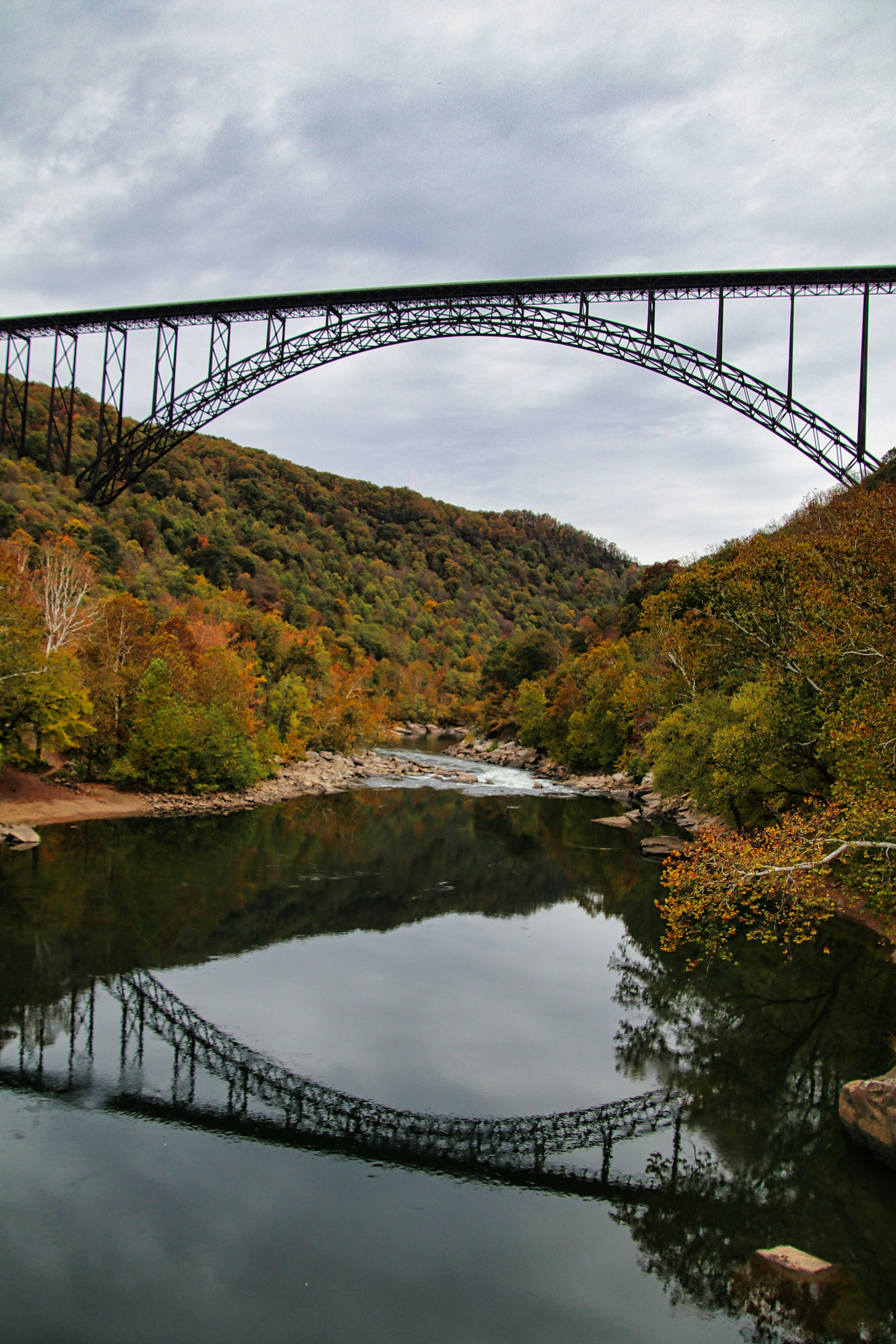 Imagem Virginia Photos Download The BEST Free Imagem Virginia Stock