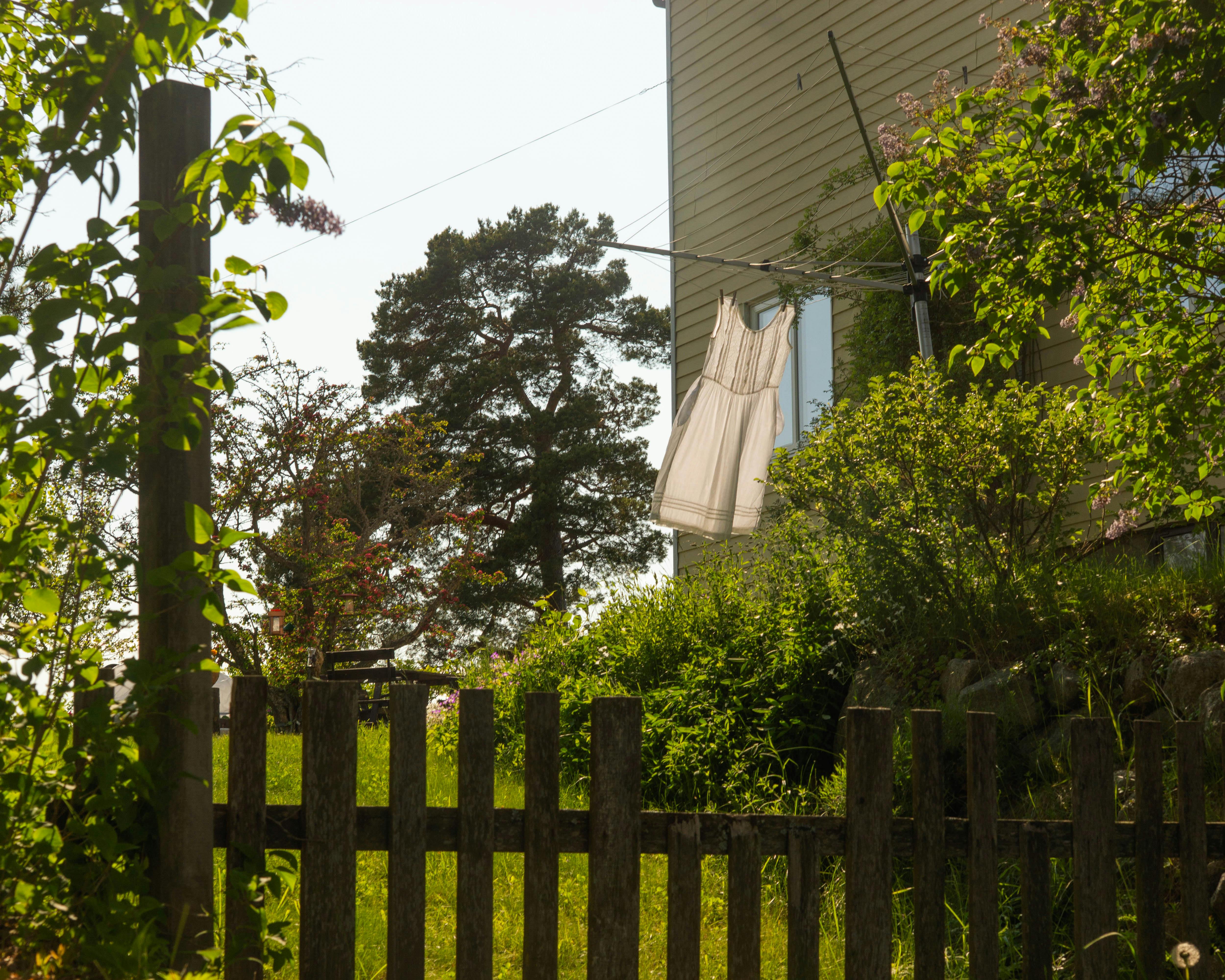 Give your home a spring reset for less than $100 with these DIY home improvement projects — Photo by Hala Obed on Pexels