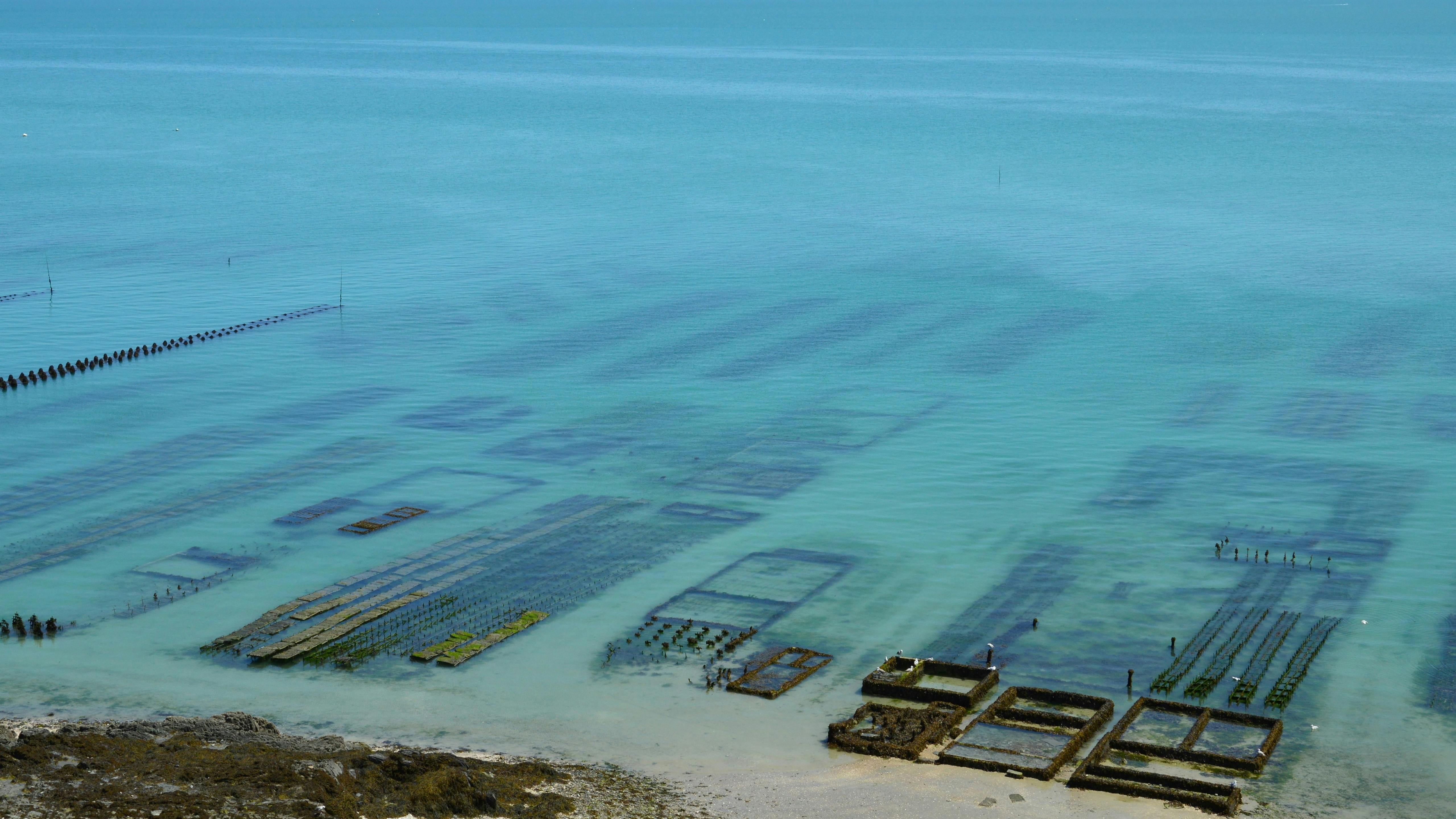 財經：兆豐銀行獲海委會企業海洋永續貢獻獎，展現行動支持海洋保