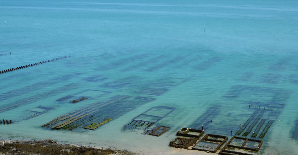 財經:兆豐銀行獲海委會企業海洋永續貢獻獎,展現行動支持海洋保