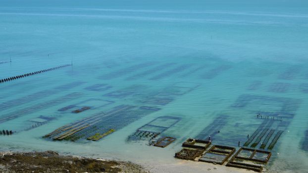 Aerial shot of oyster farms in the clear waters of Cancale, Bretagne, France.