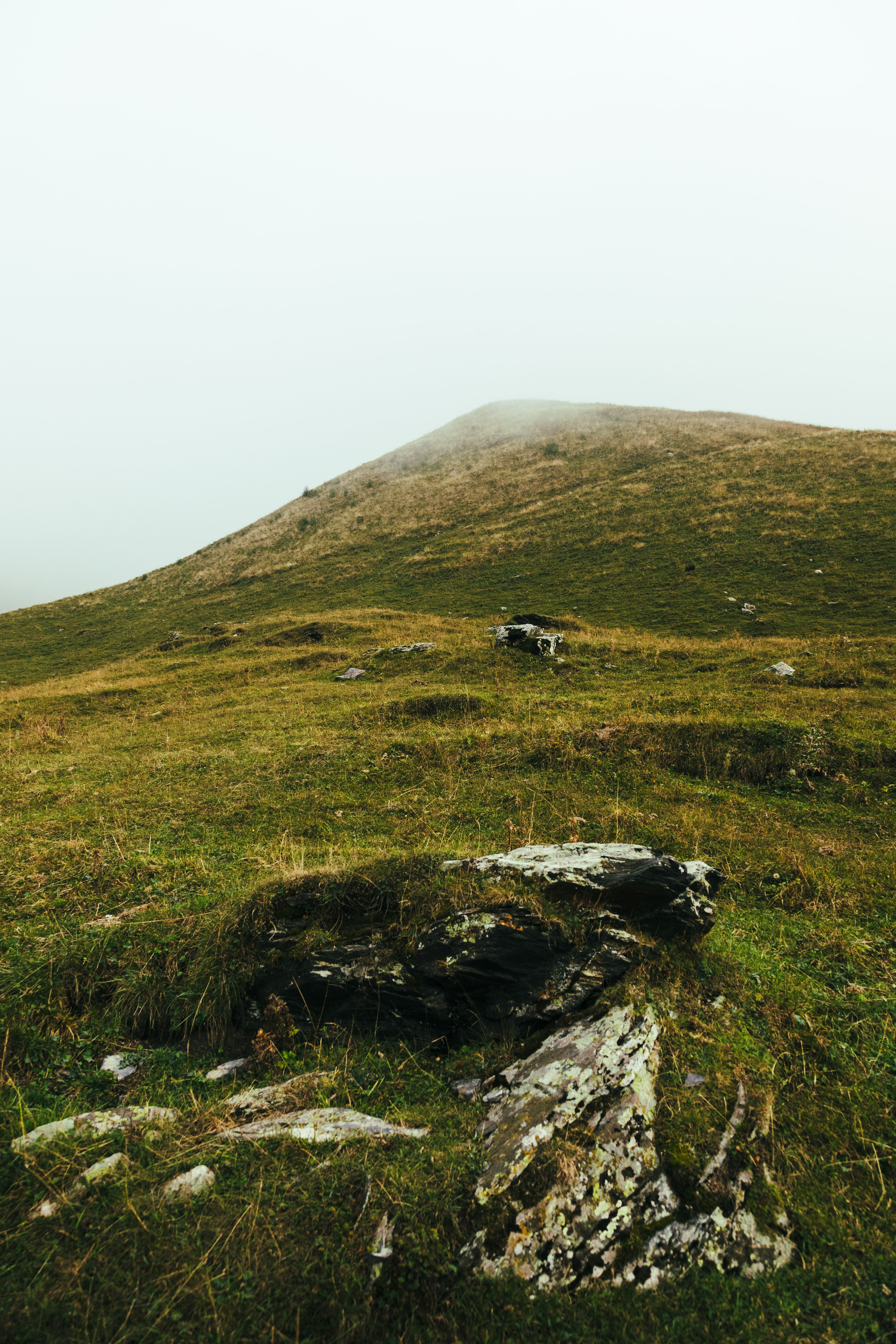 Grassy hillside under morning mist &mdash; photo by Nikita Pishchugin on Pexels