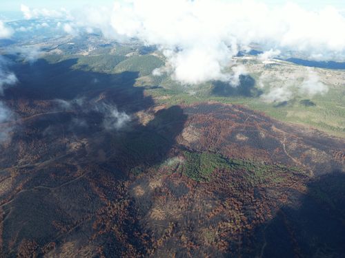 Free High-altitude view of a forest area in Turkey partially covered by clouds and shadows. Stock Photo