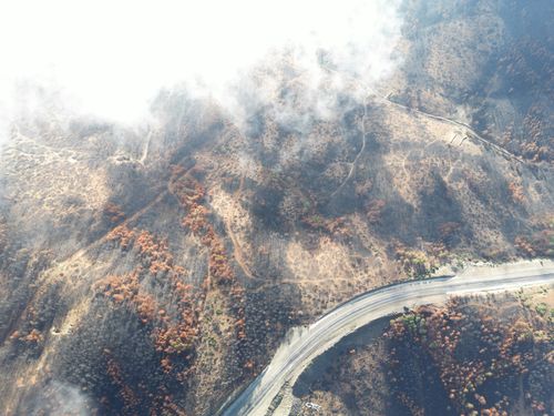Free Aerial photo showcasing the aftermath of a forest fire in Turkey, highlighting burnt areas and recovery. Stock Photo