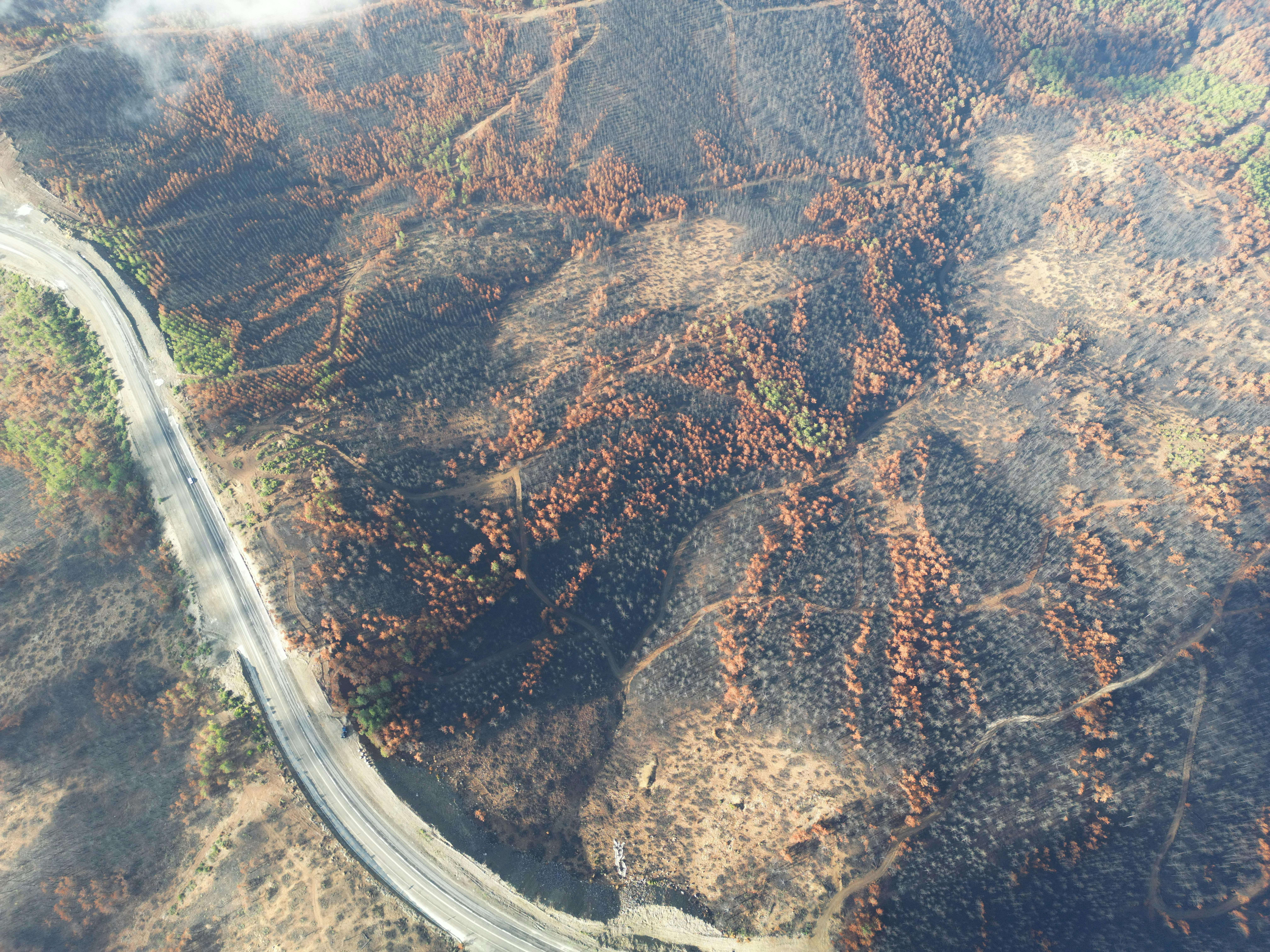 Kostenlos Luftbild einer von einem Waldbrand betroffenen Landschaft mit Straßen und verkohlten Bäumen. Stock-Foto