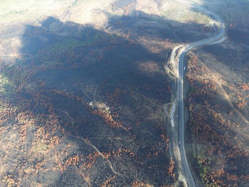 Free Aerial shot of a burnt forest with a winding road cutting through the landscape, showcasing regrowth areas. Stock Photo