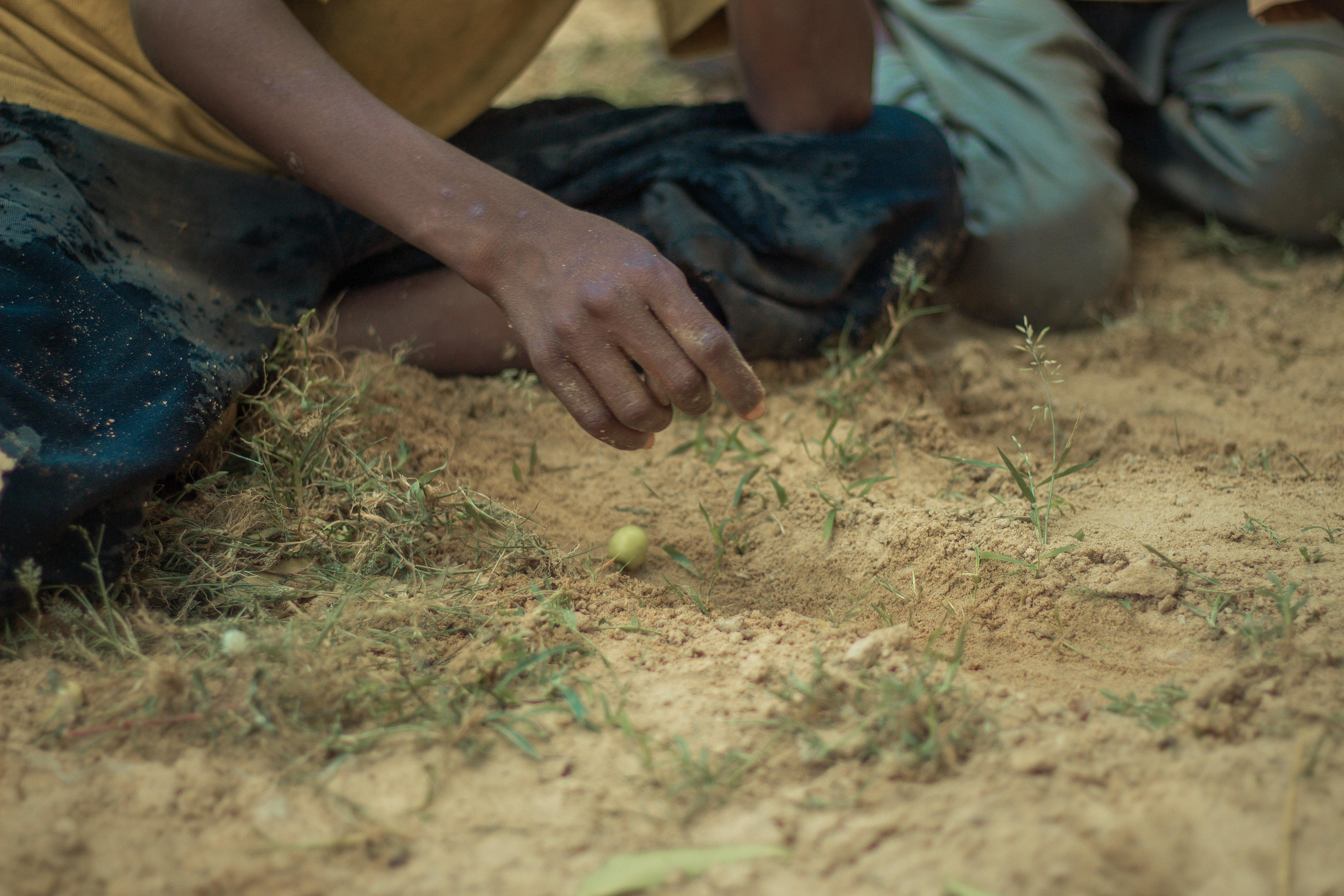 Young child inspecting plant growth in sandy soil in Yobe, Nigeria.