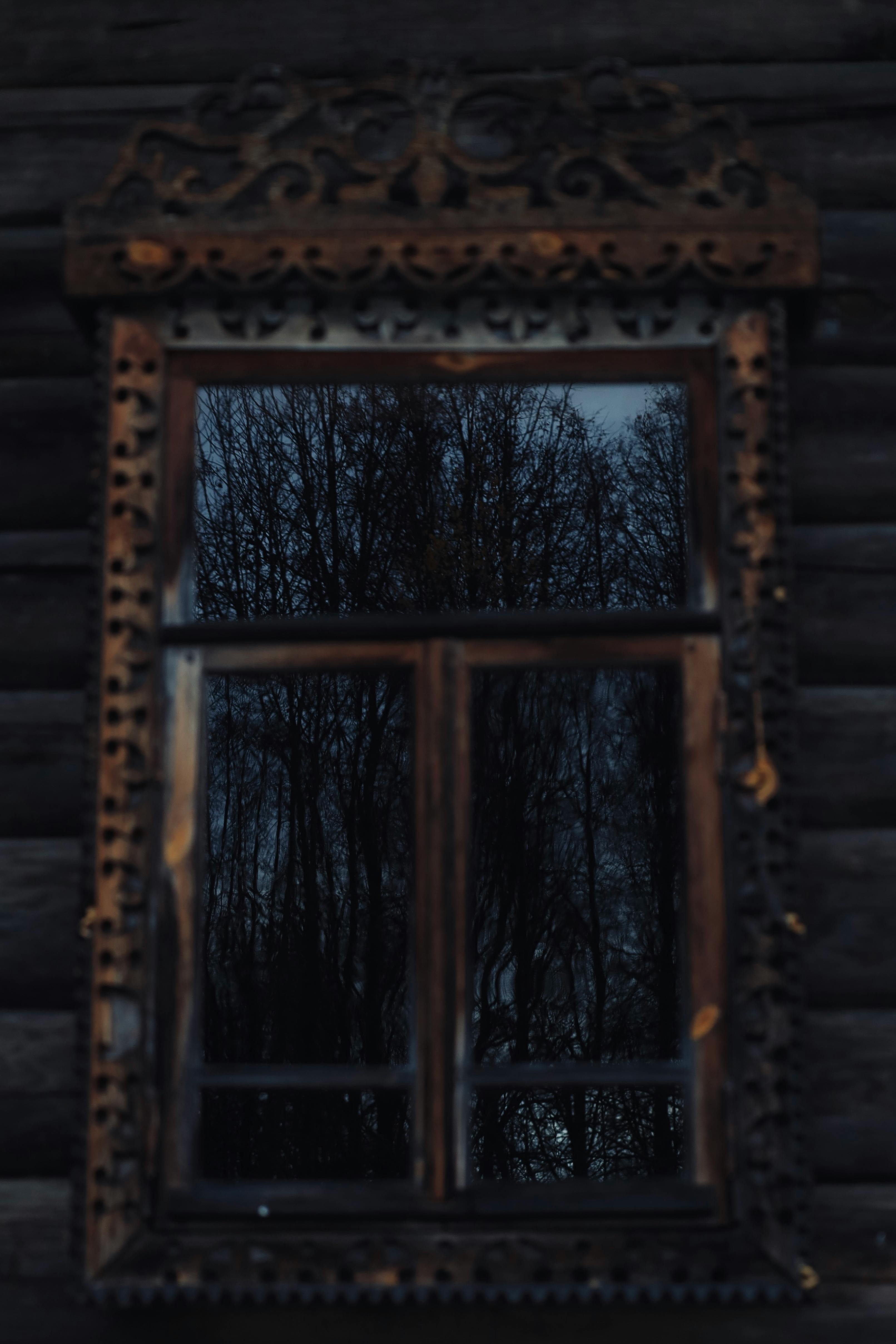 Beautiful reflection of trees in a detailed vintage wooden window at twilight.