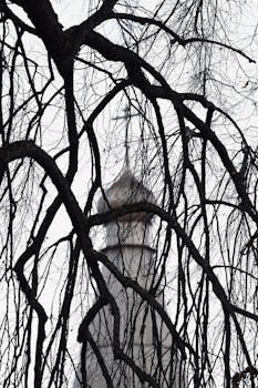 A Gothic church tower blurred in the background, framed by bare tree branches, creating a wintery and mysterious scene.