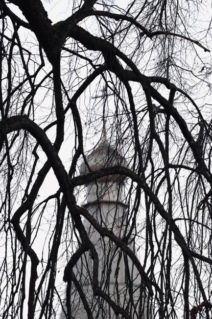 A Gothic church tower blurred in the background, framed by bare tree branches, creating a wintery and mysterious scene.