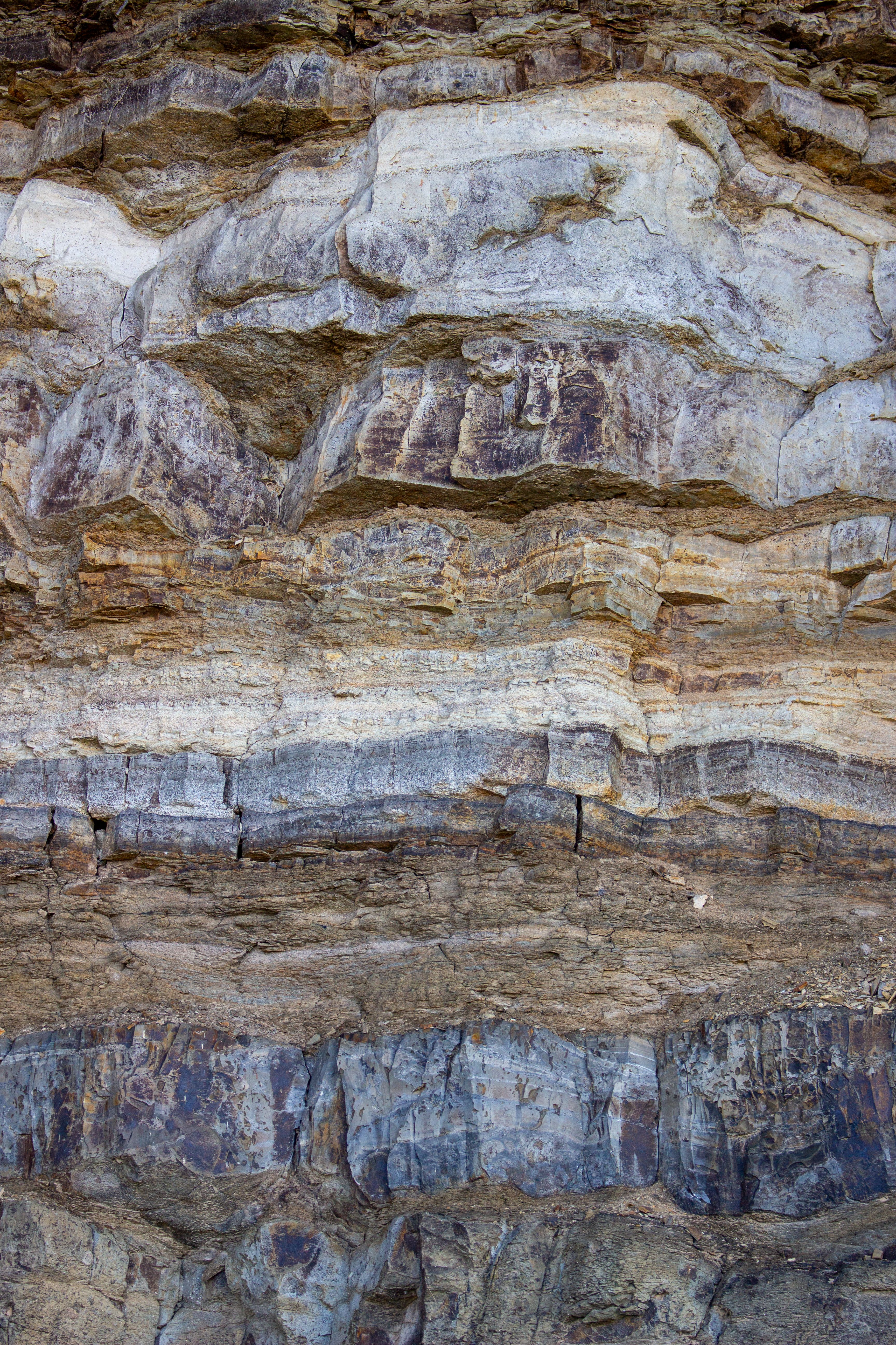 Gratis Scopri gli intricati motivi e le texture di una parete rocciosa calcarea con strati visibili. Foto a disposizione