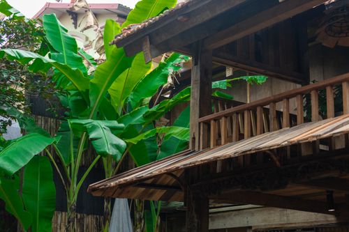 Free Rustic Vietnamese house surrounded by vibrant banana trees in a tranquil setting. Stock Photo